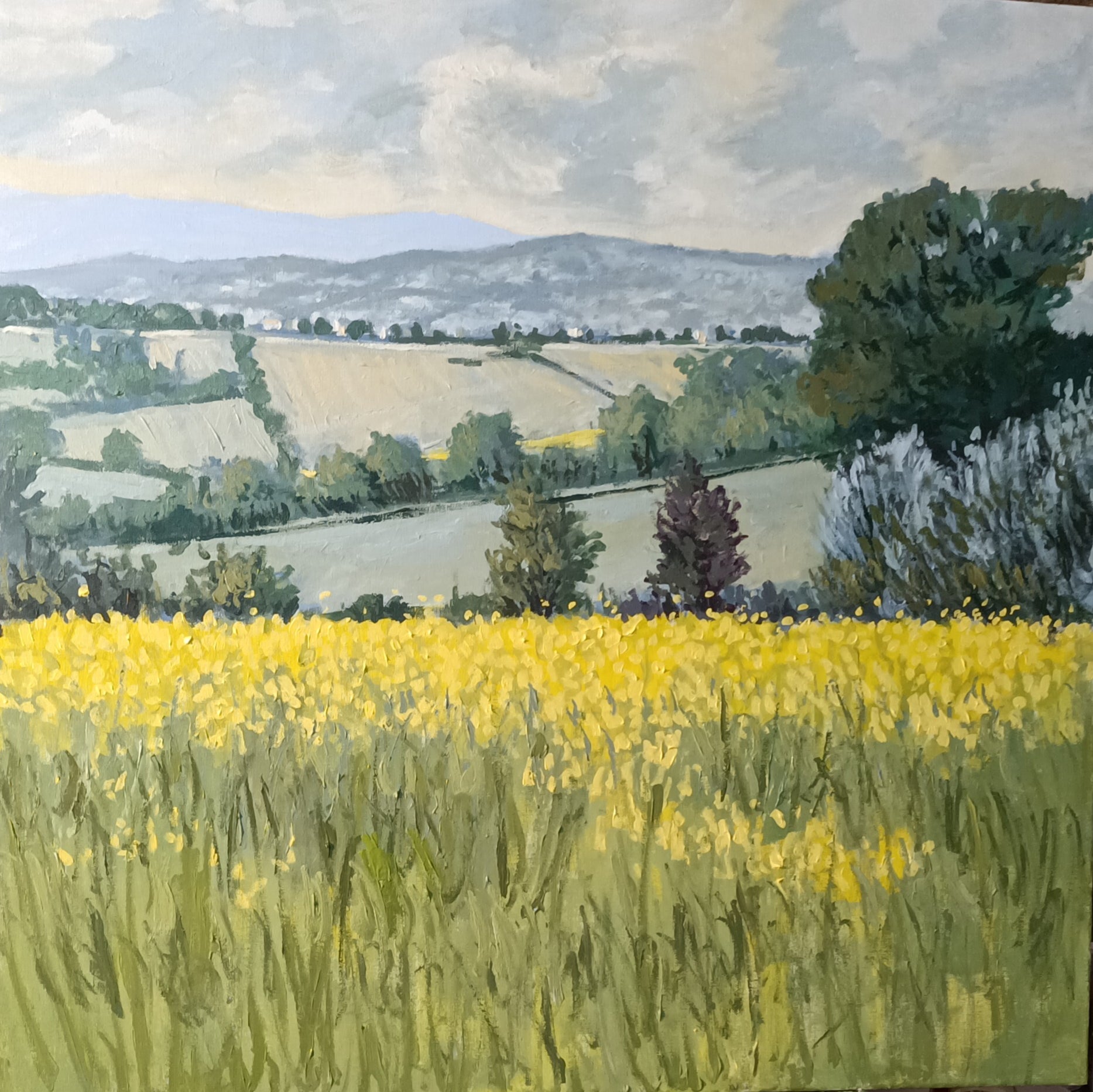 CAMPAGNA CIOCIARA