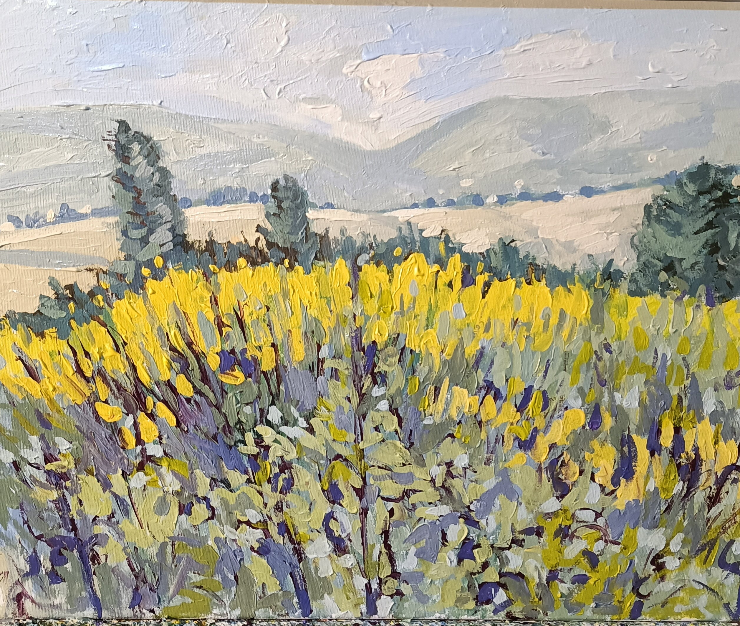 CAMPAGNA CIOCIARA