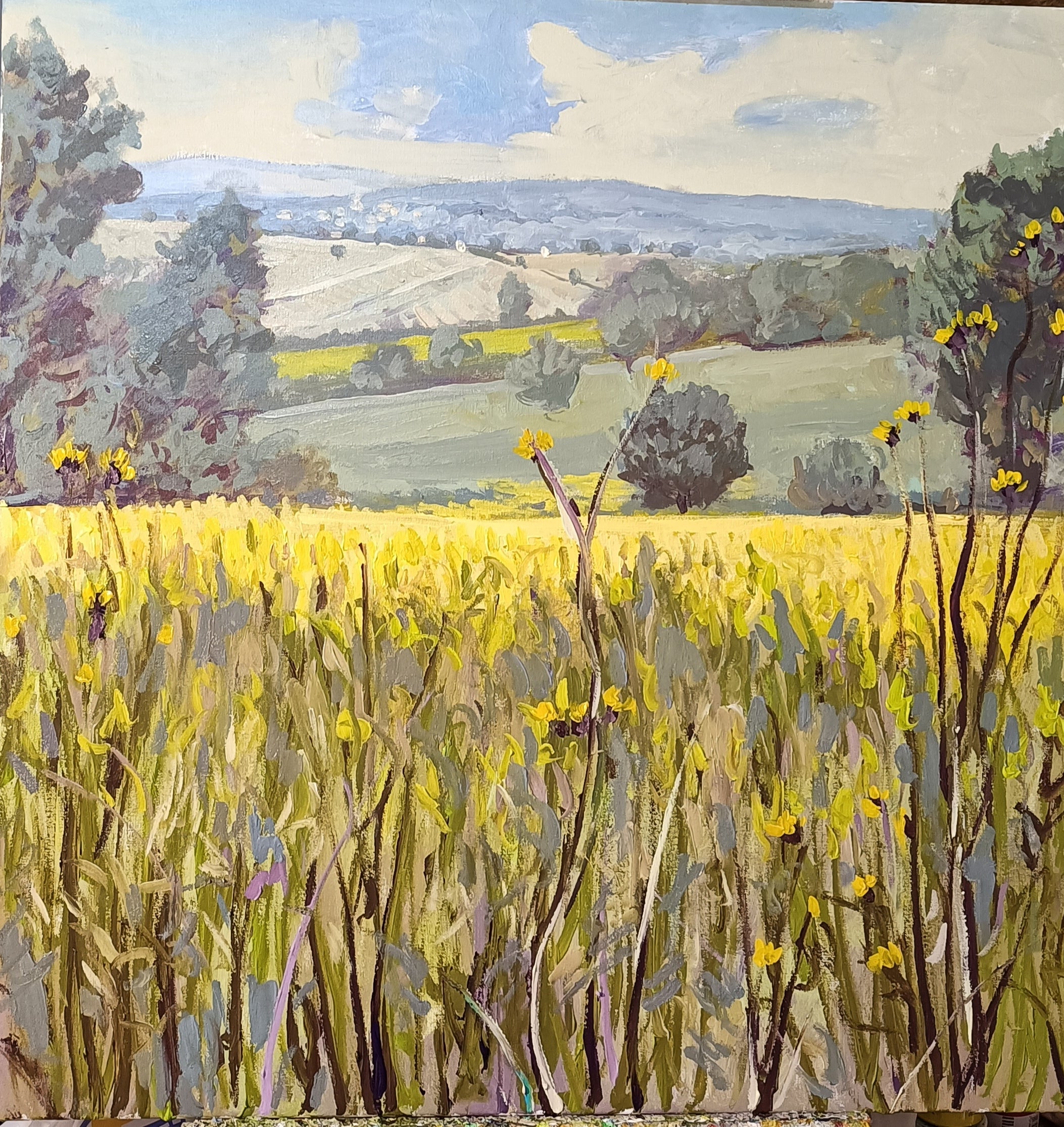 CAMPAGNA CIOCIARA