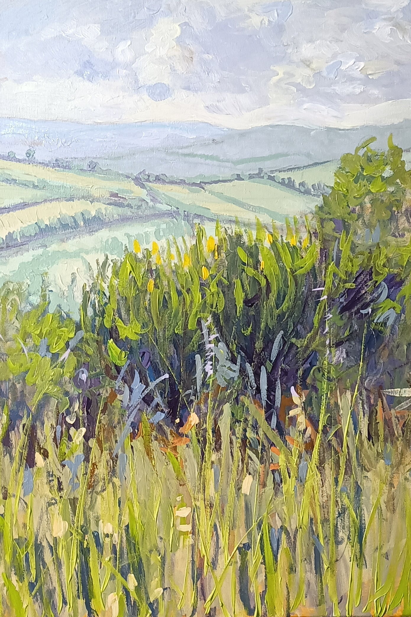 CAMPAGNA CIOCIARA