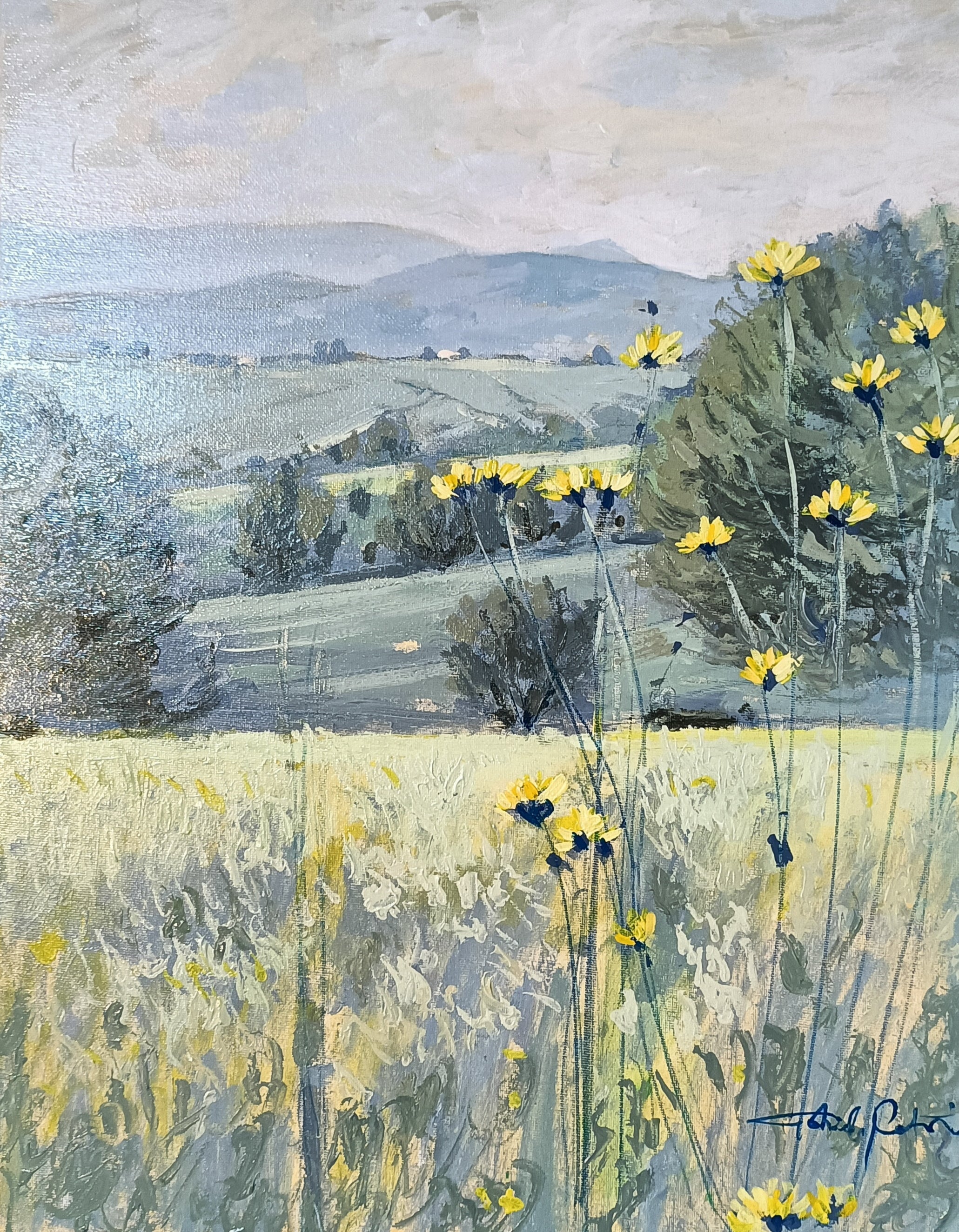 CAMPAGNA CIOCIARA