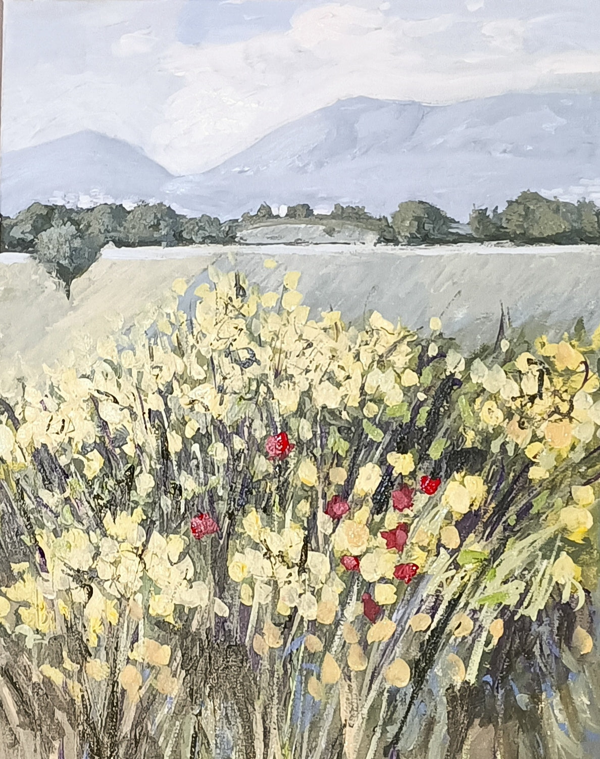 CAMPAGNA CIOCIARA