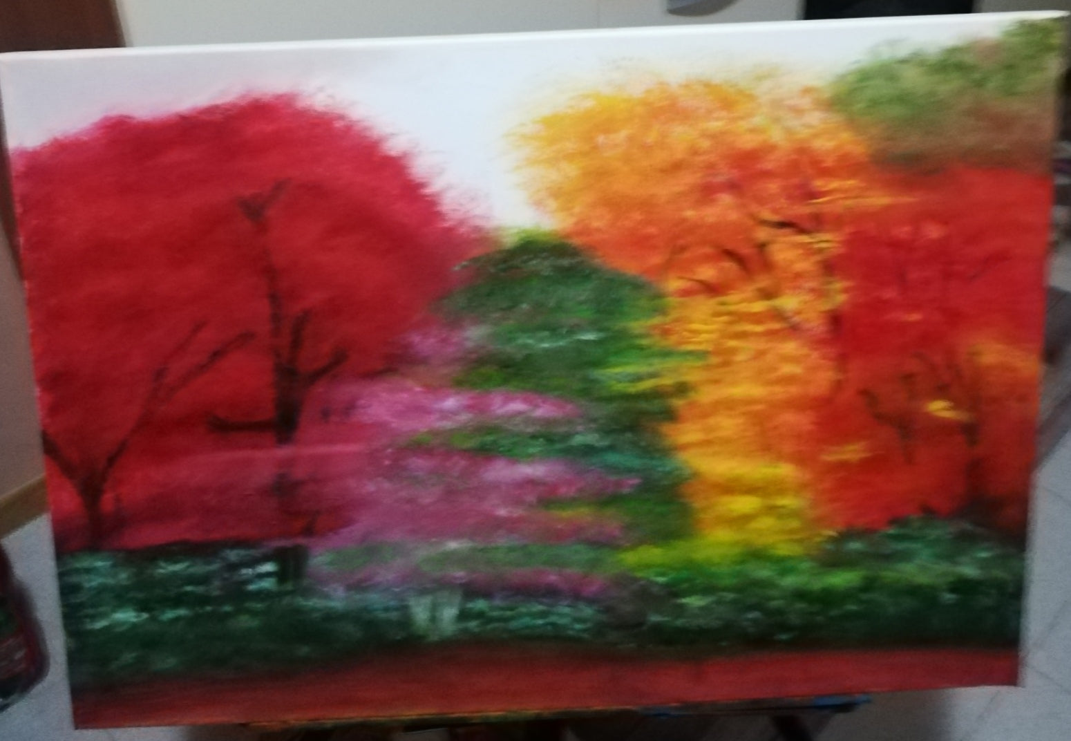 Los colores vibrantes de un atardecer