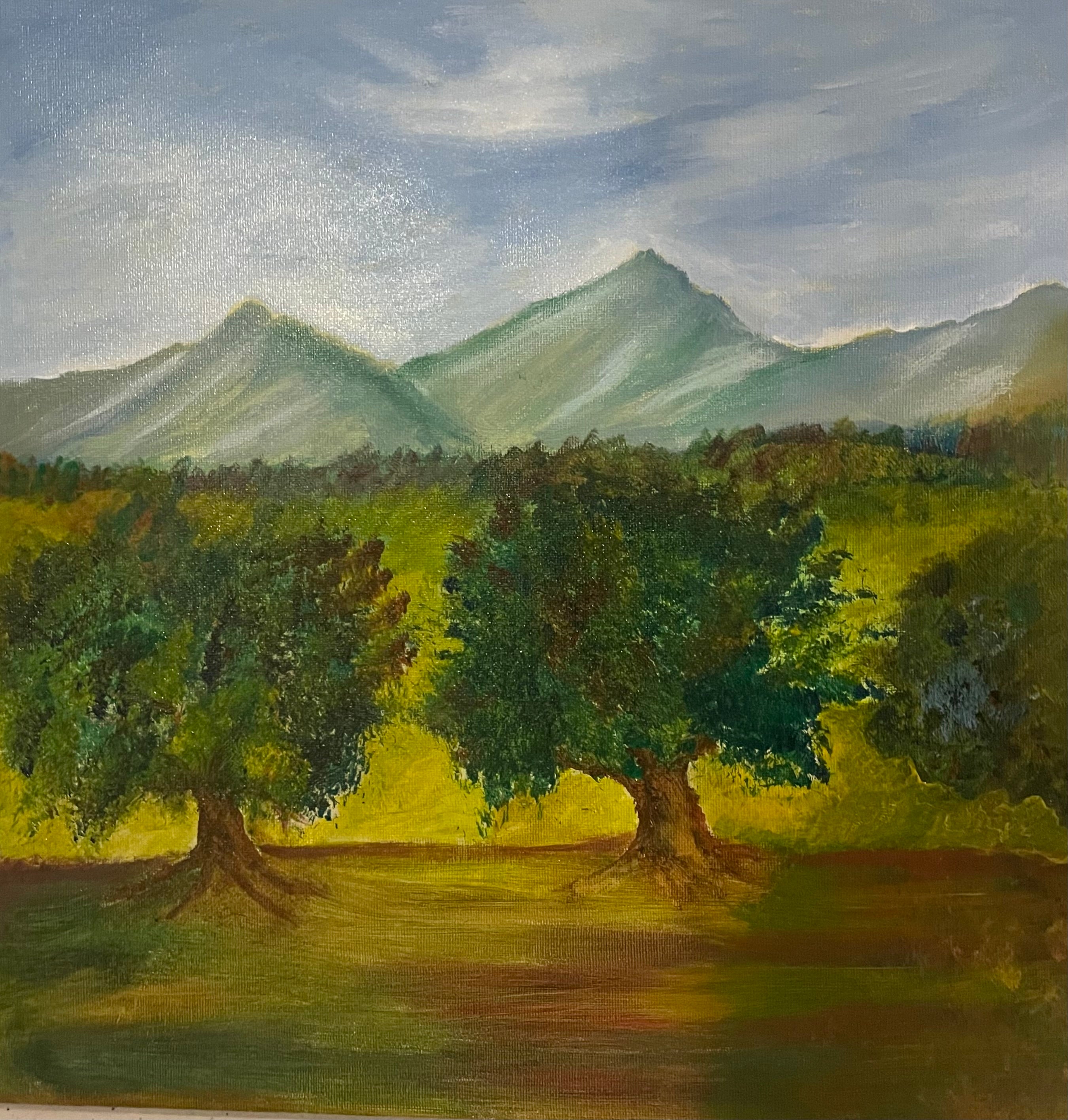 Paesaggio montagnoso