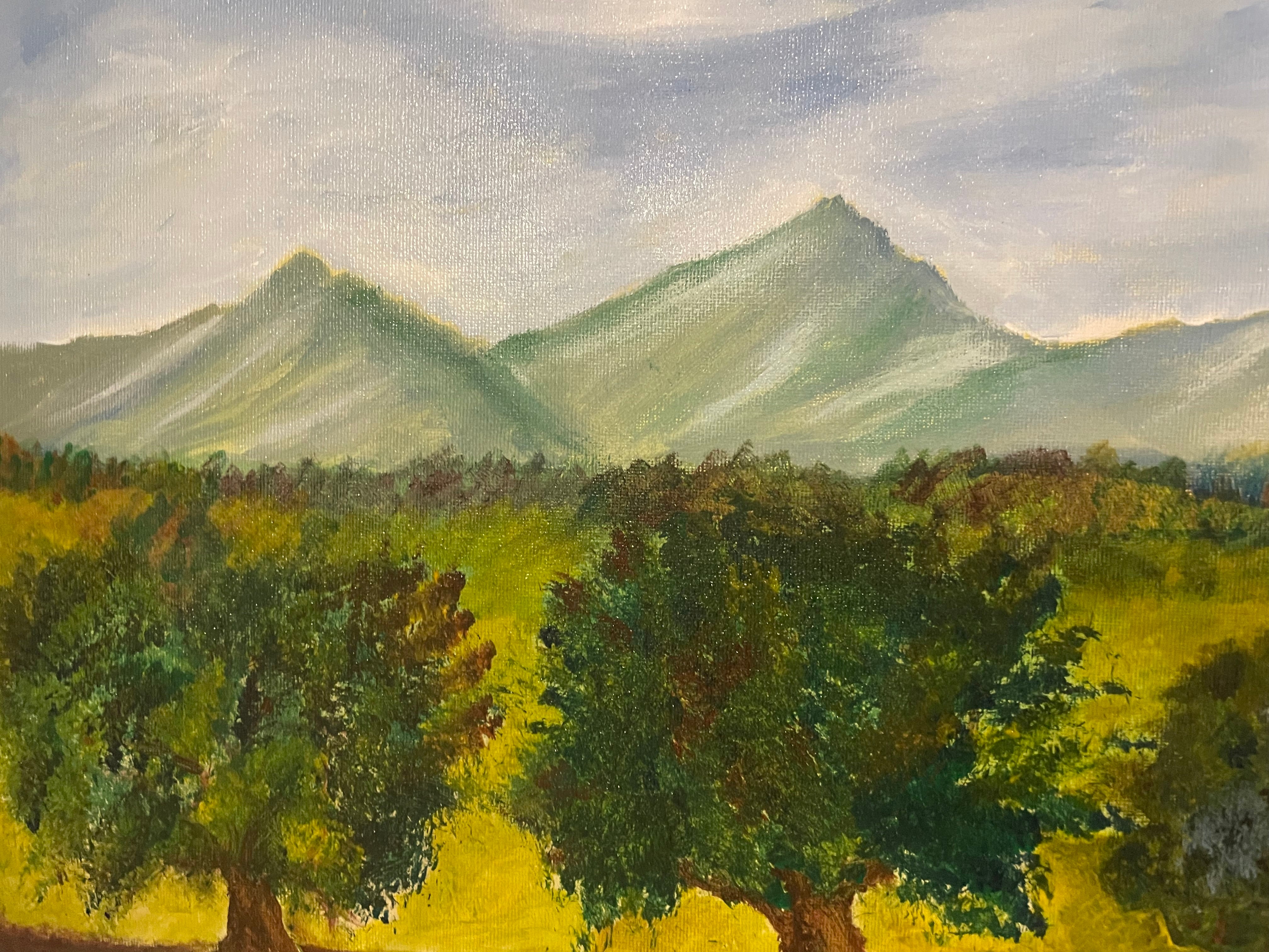 Paesaggio montagnoso
