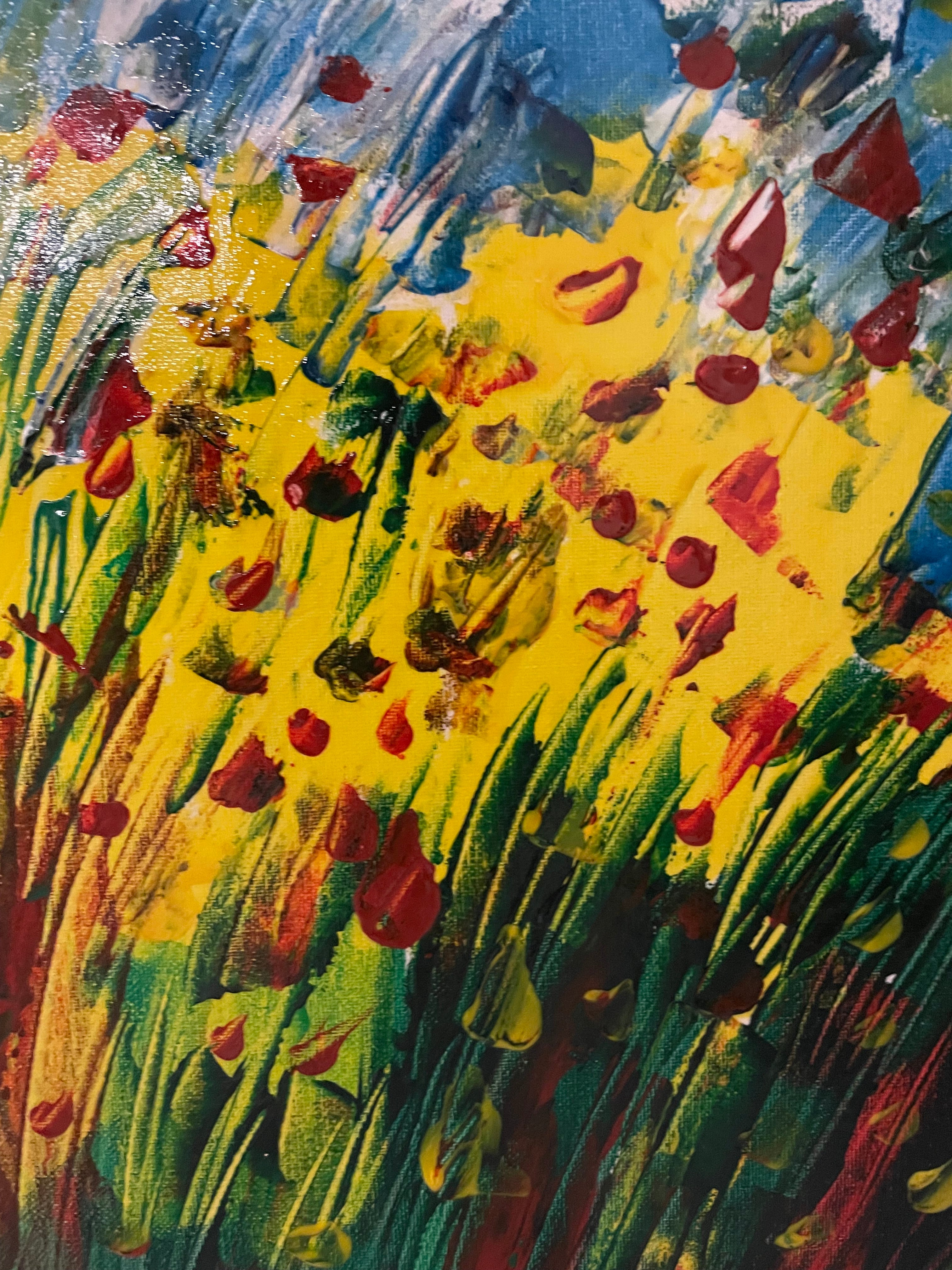 Campo con papaveri