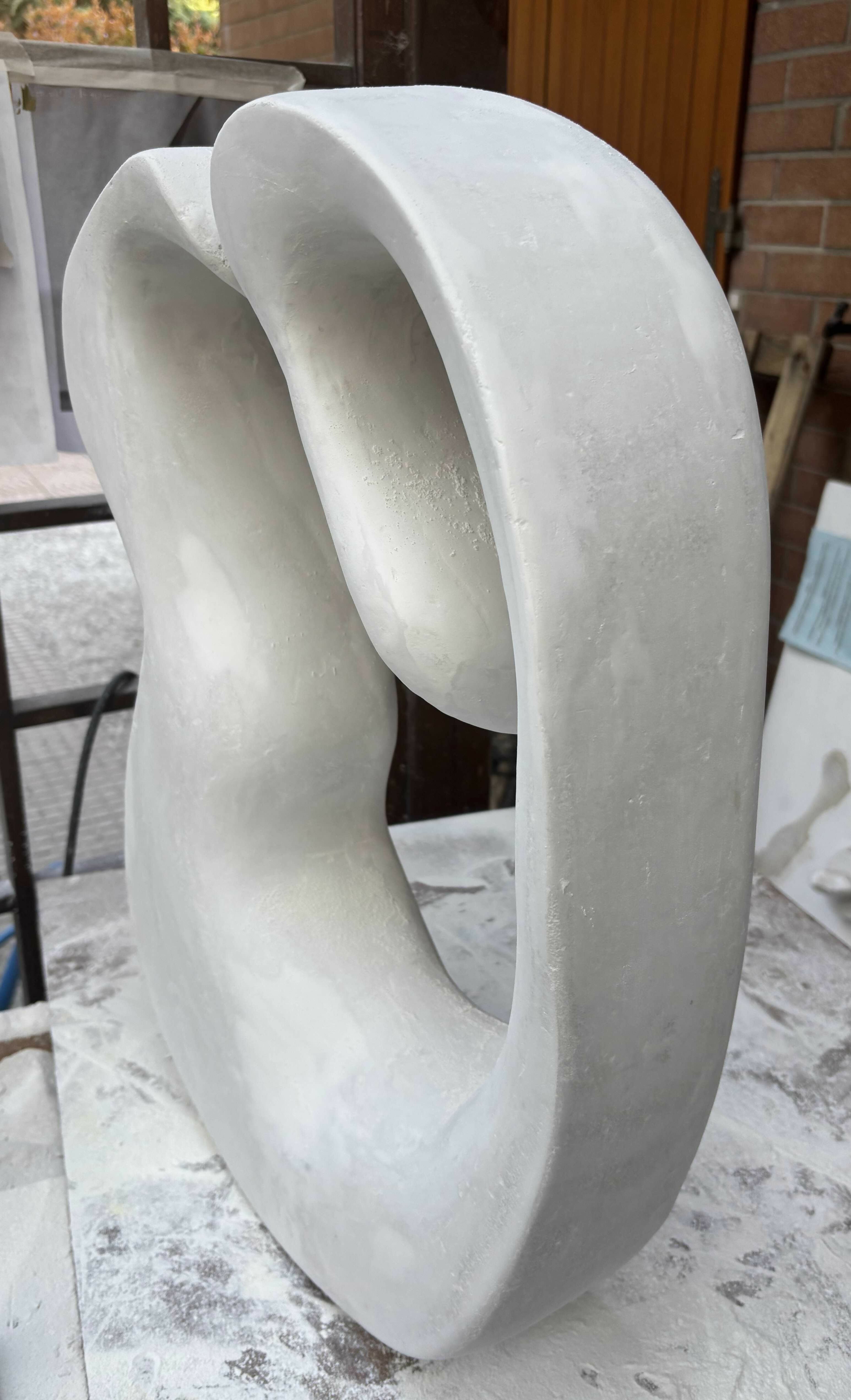 il bacio del cigno