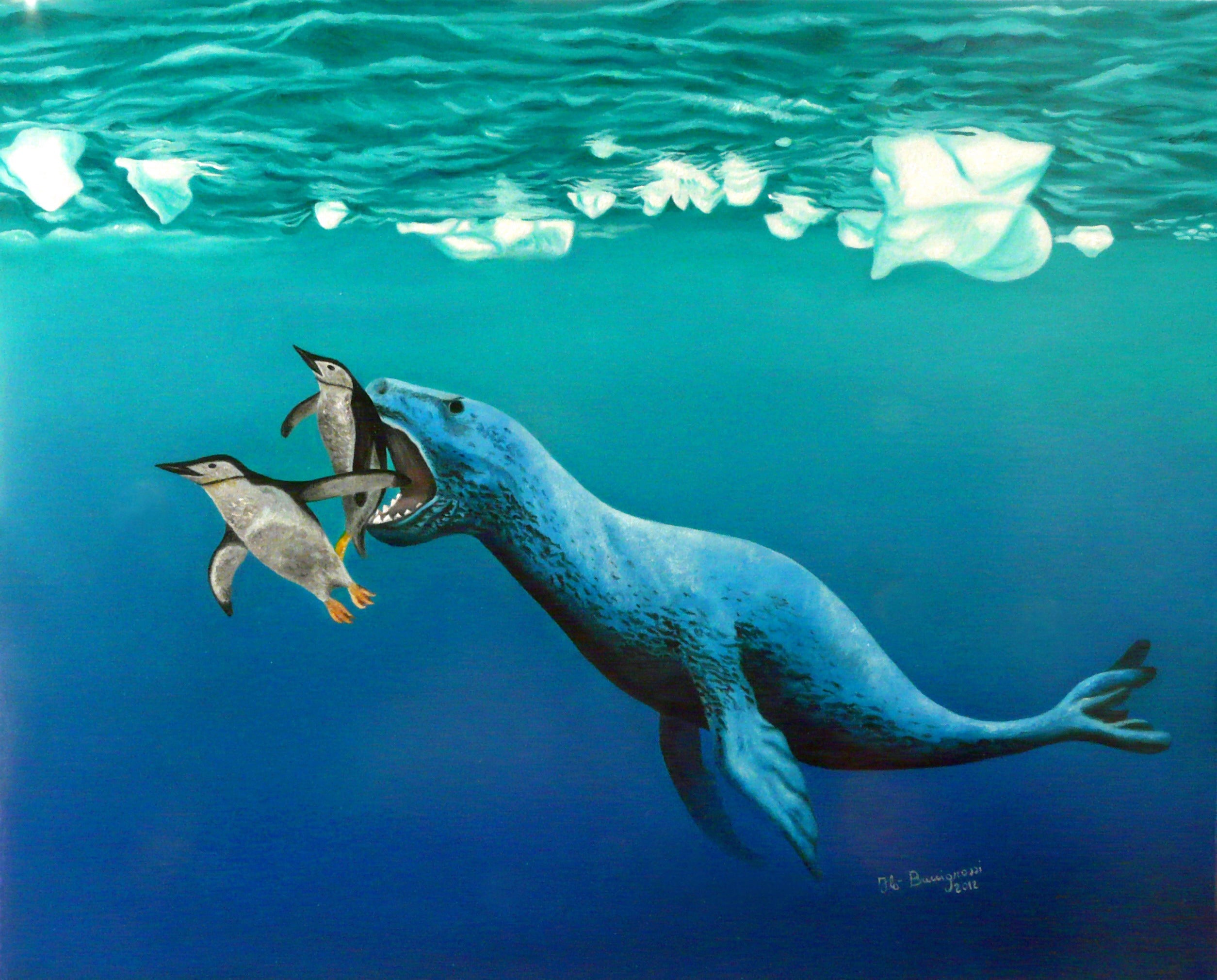 Buccigrossi Floriano - La caza de la foca leopardo