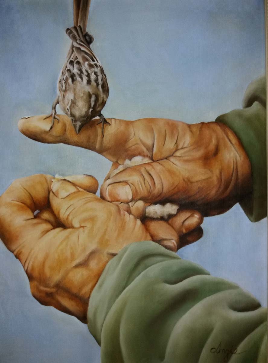 Angie - La gioia del condividere