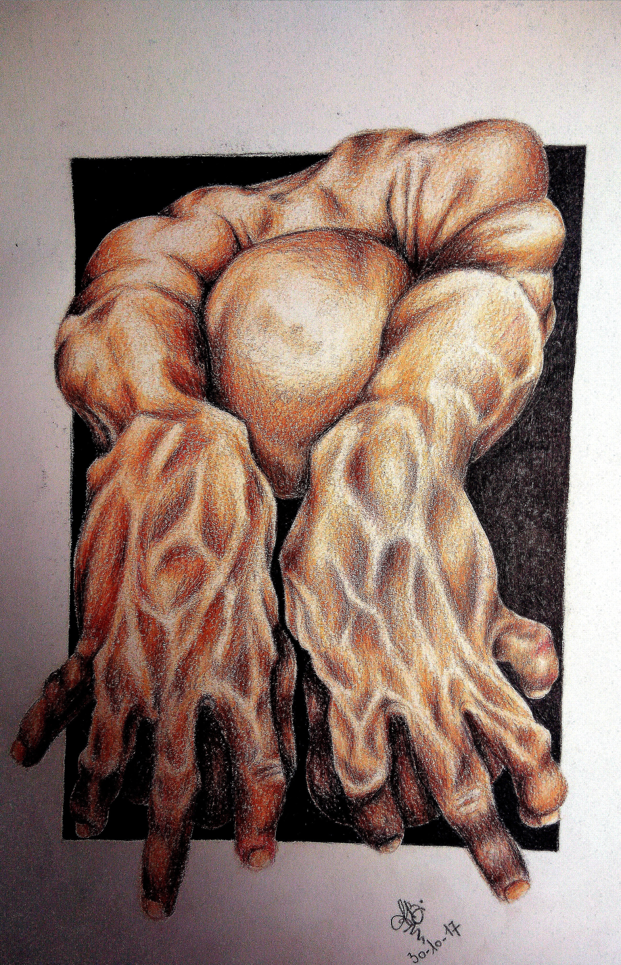 Angelica Buzi - La presa