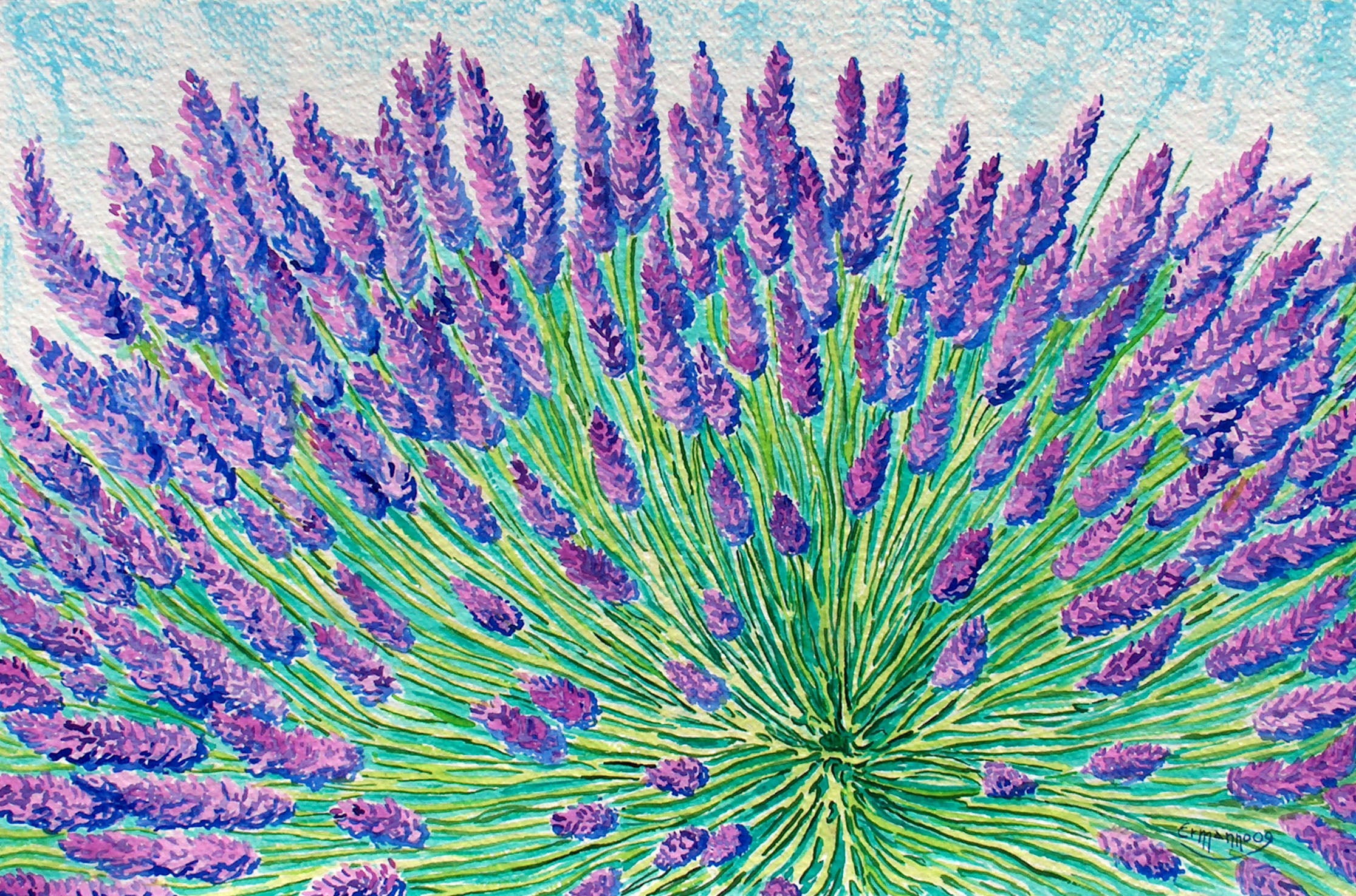 Lavanda (do56r)