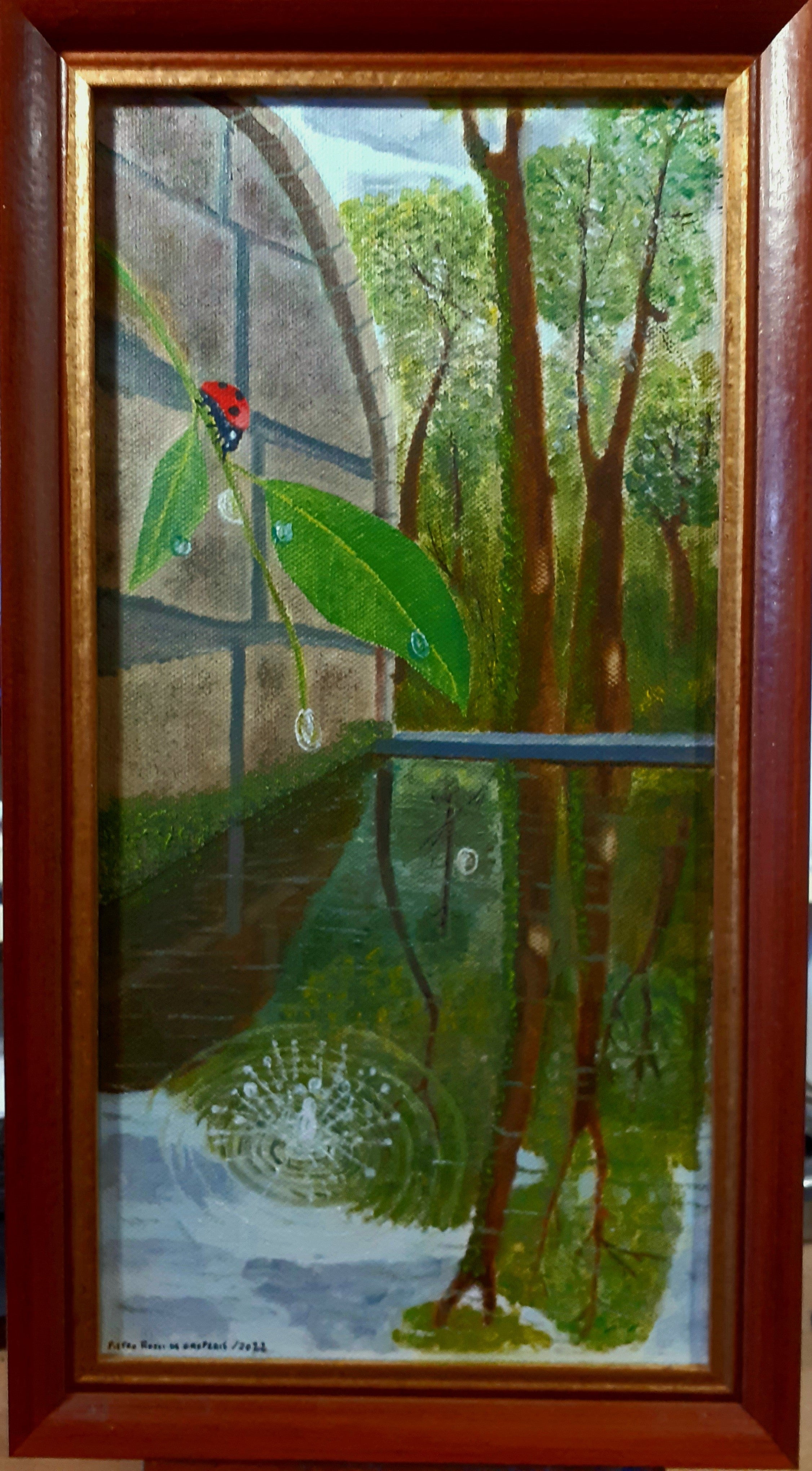 Las gotas y la mariquita