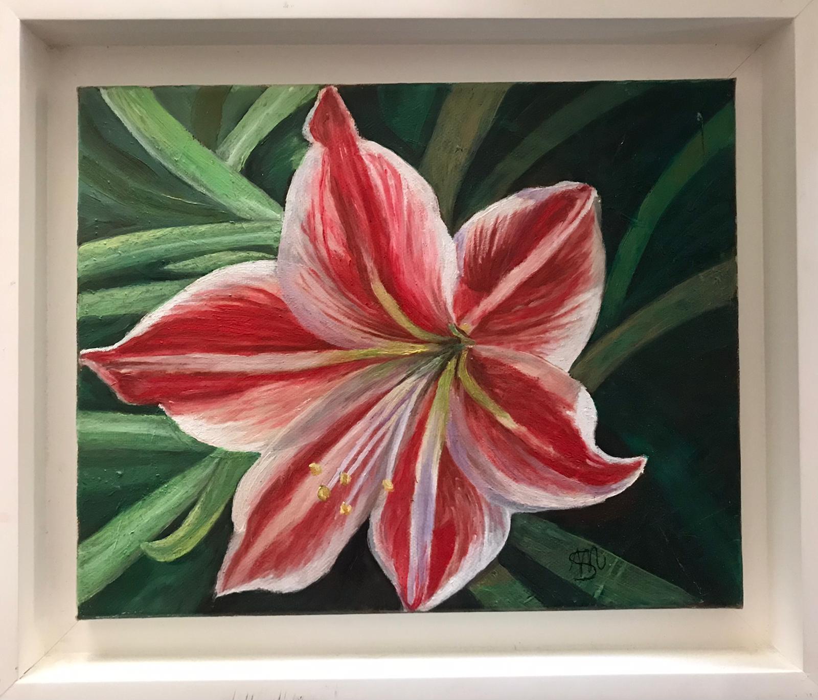Lilium