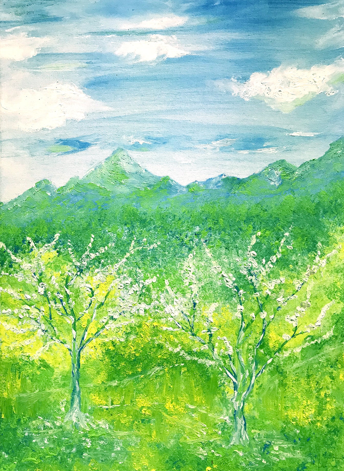 LUCE DI PRIMAVERA