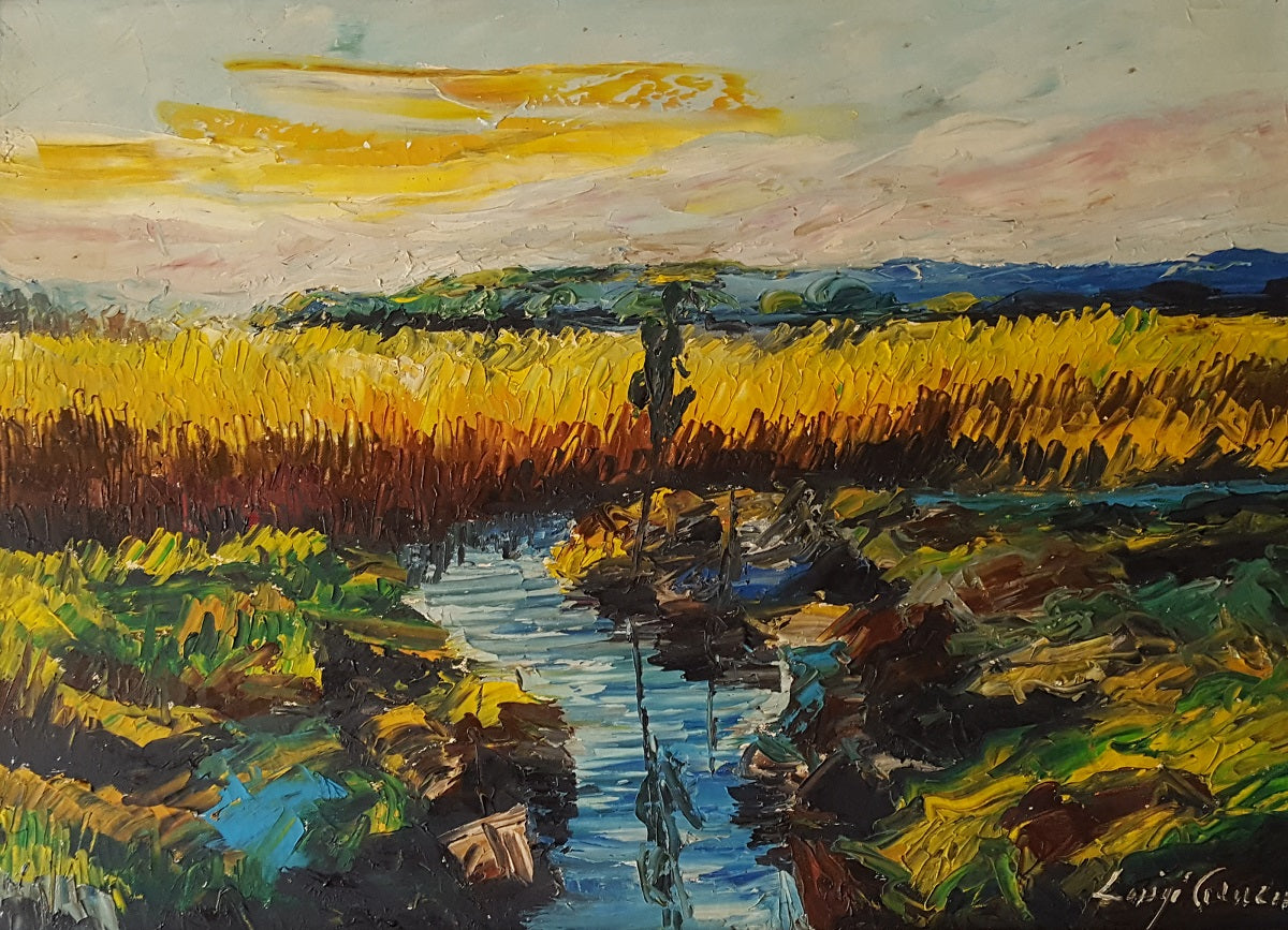Luigi Canzio - Laguna