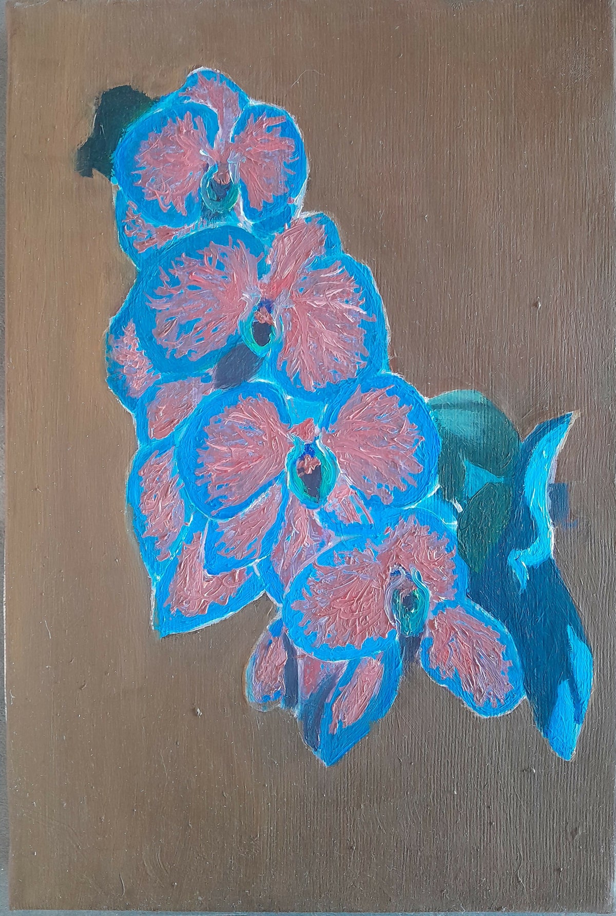 Eleganza pura