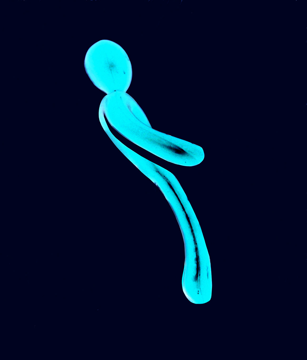 Valerio Pantani - Man