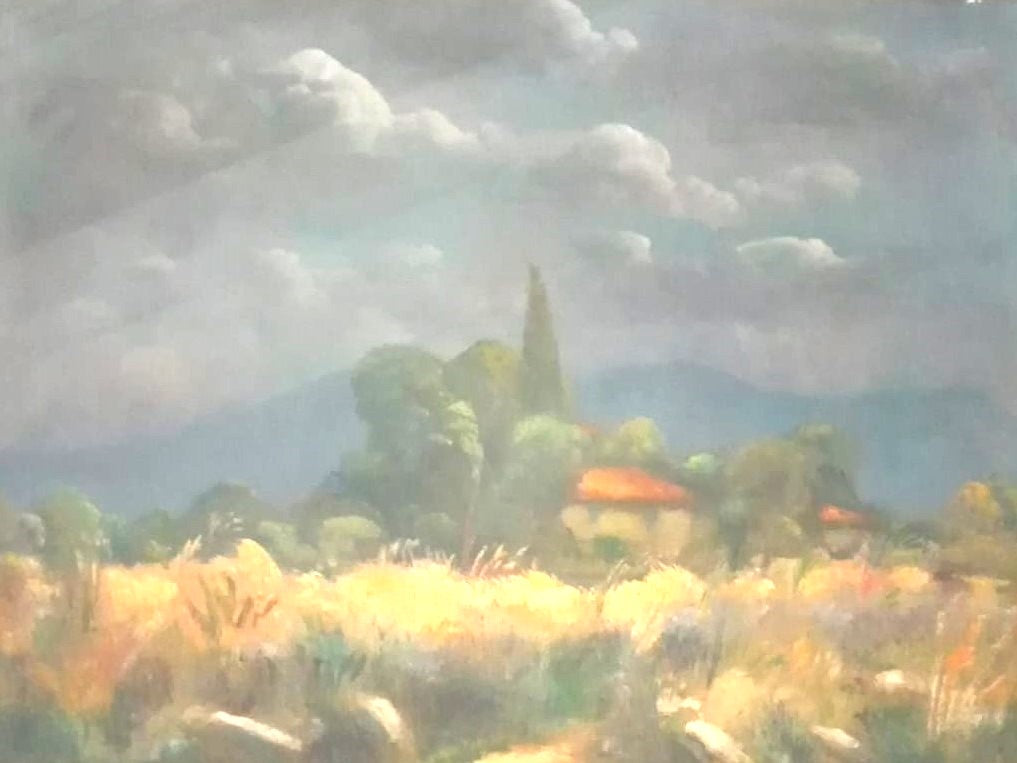 CASCINE FLORENCE - LUIGI FALAI