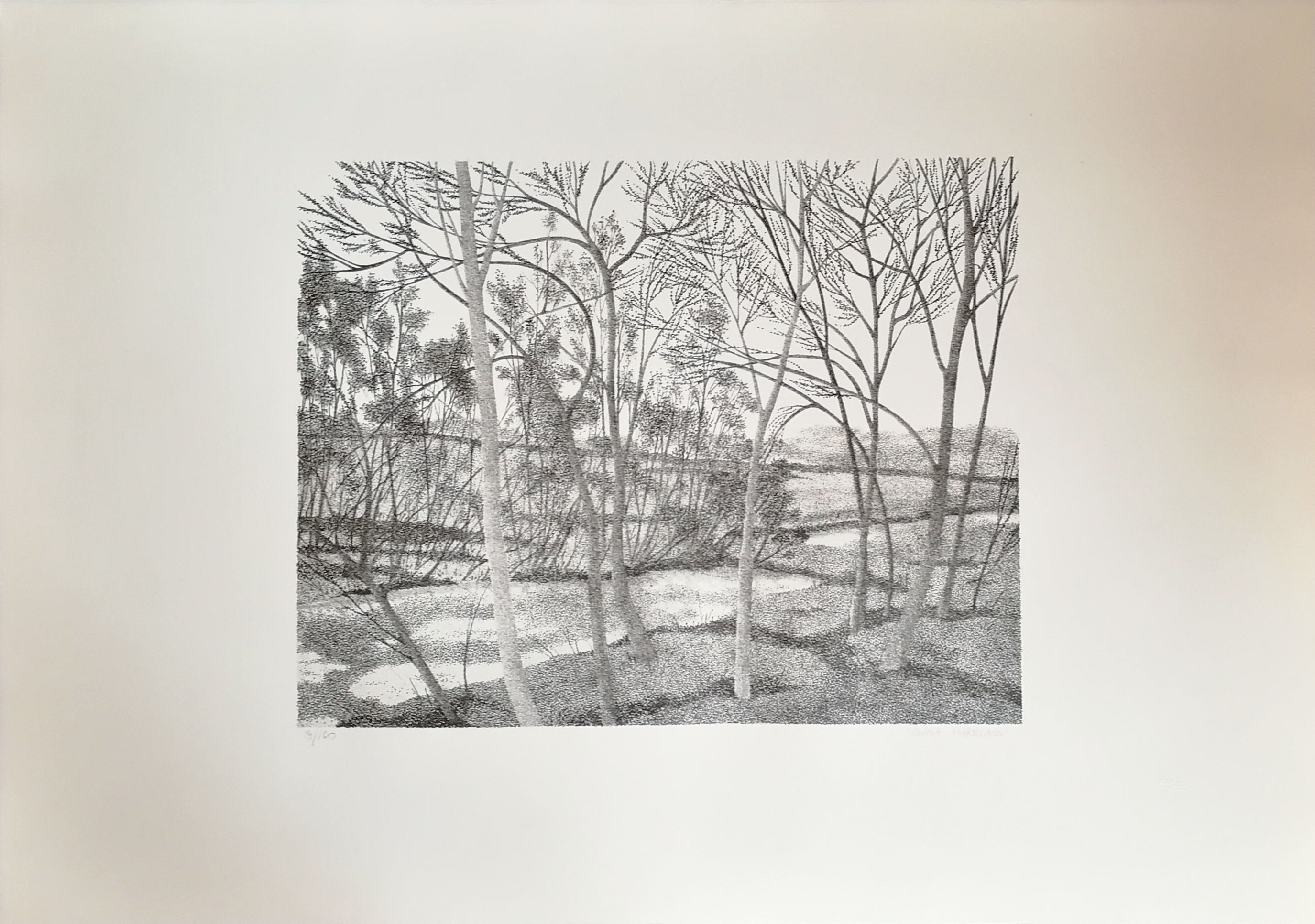Silvana Martinoni - Paesaggio