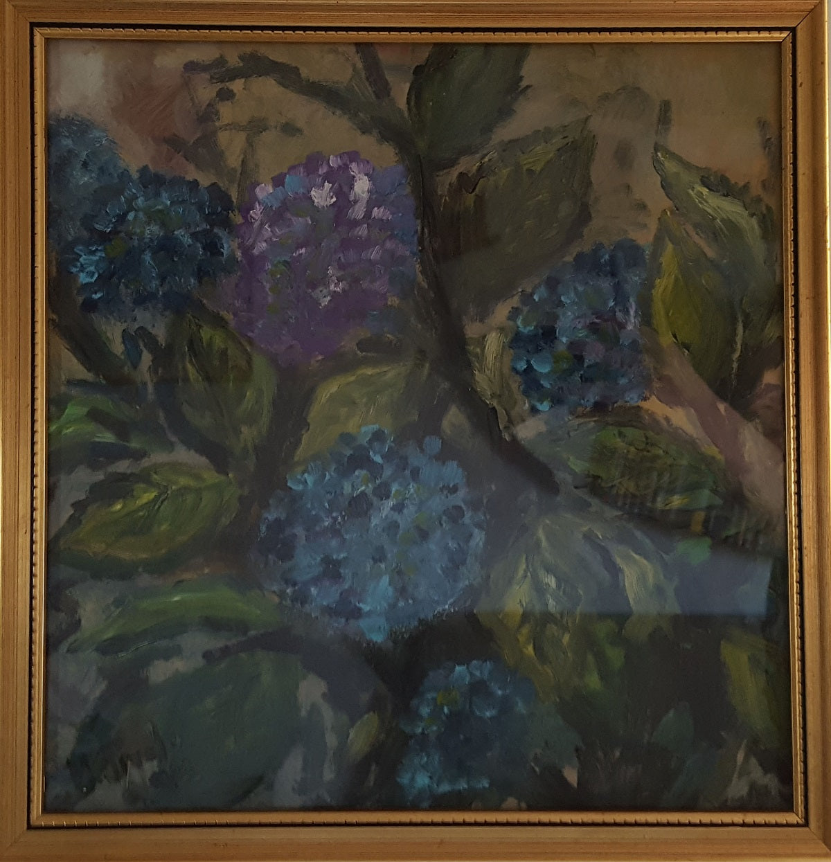 Maurizio Pirolo - Orquídeas