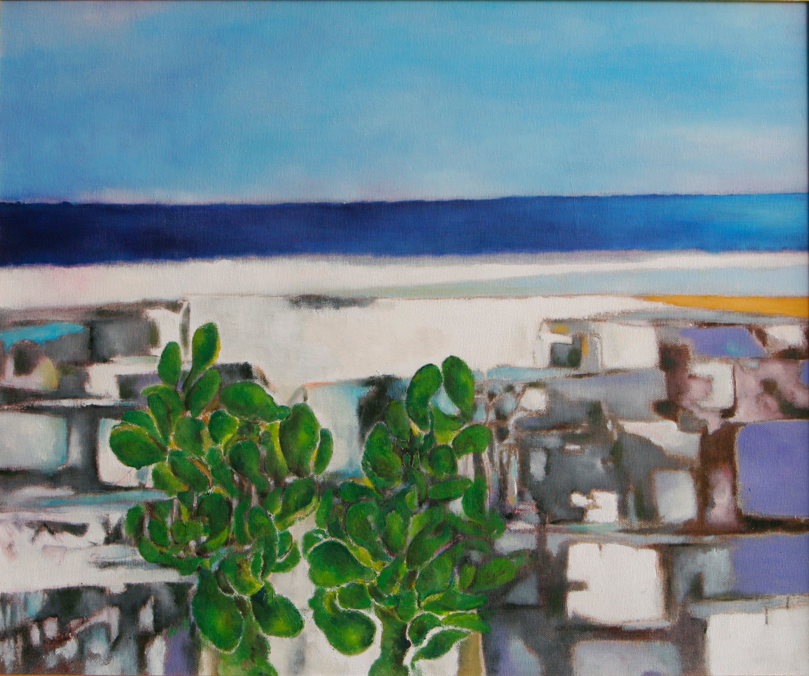 Mediterraneo