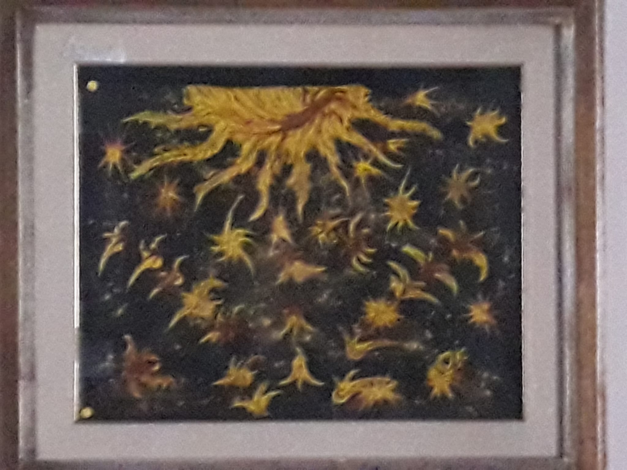 Notte stellare