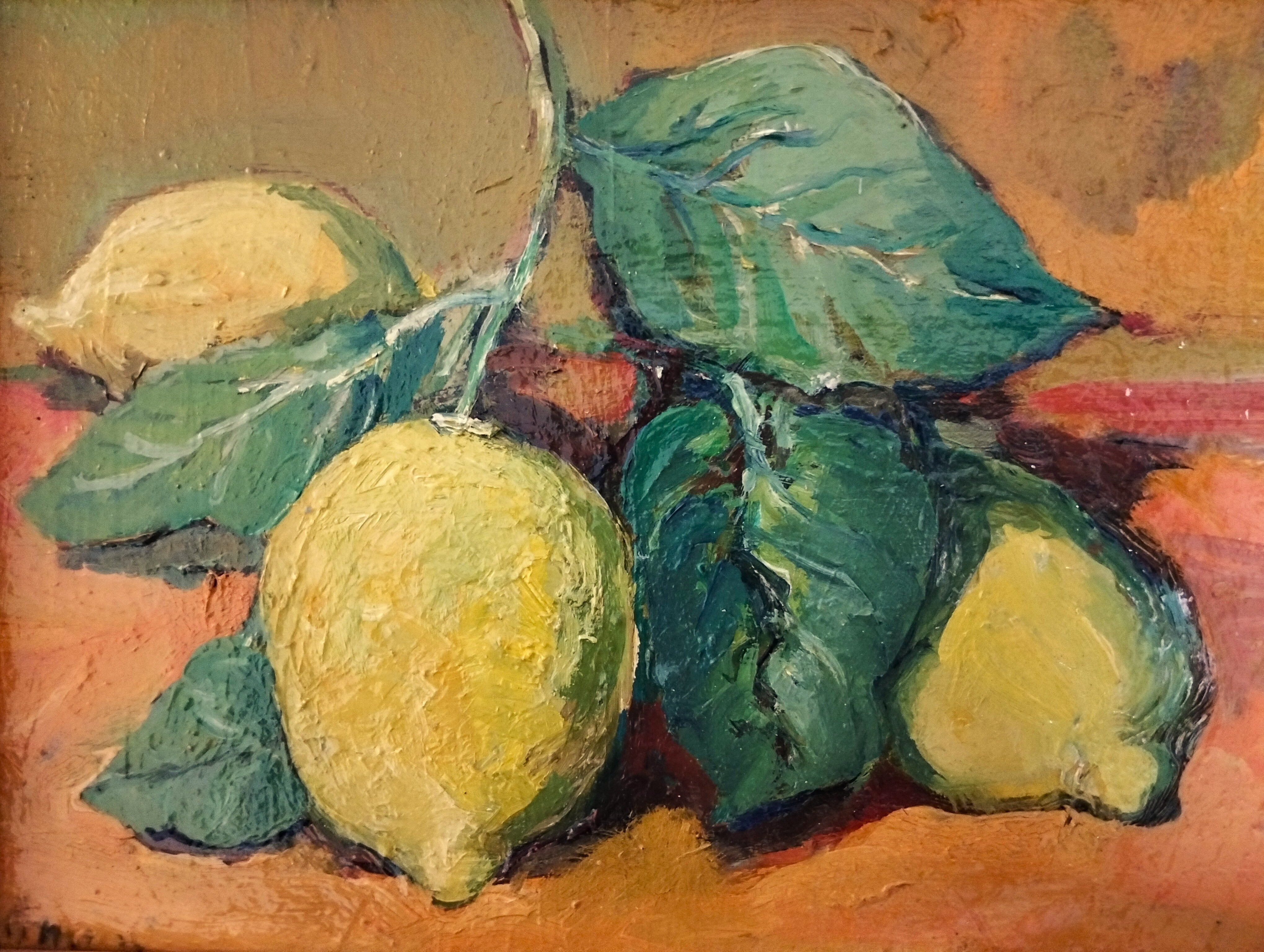 Limoni con foglie