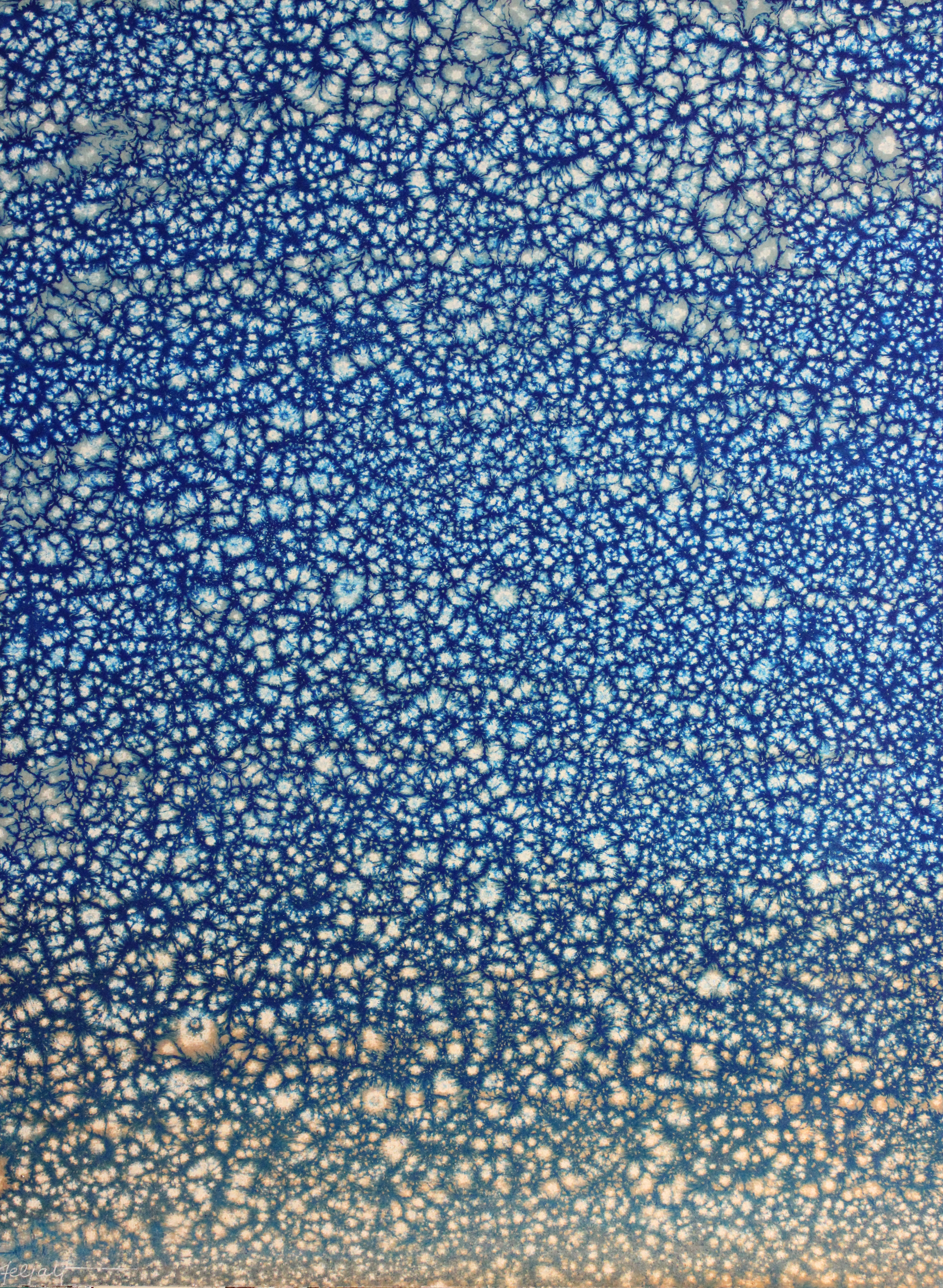 Orizzonte cosmico