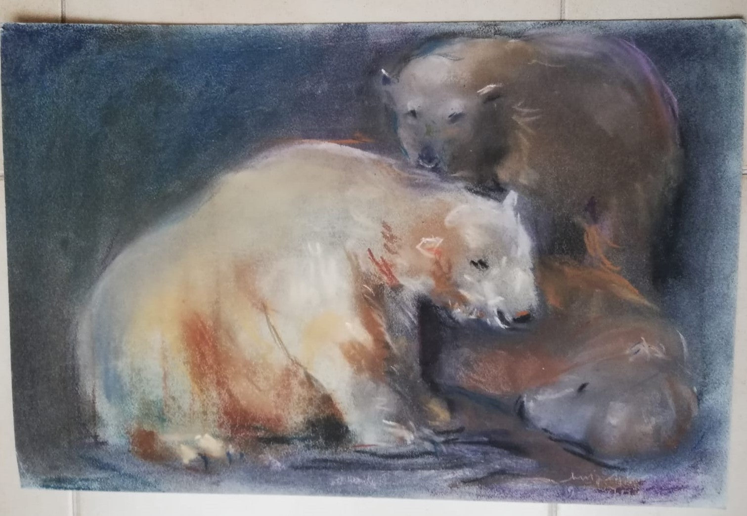 Bears