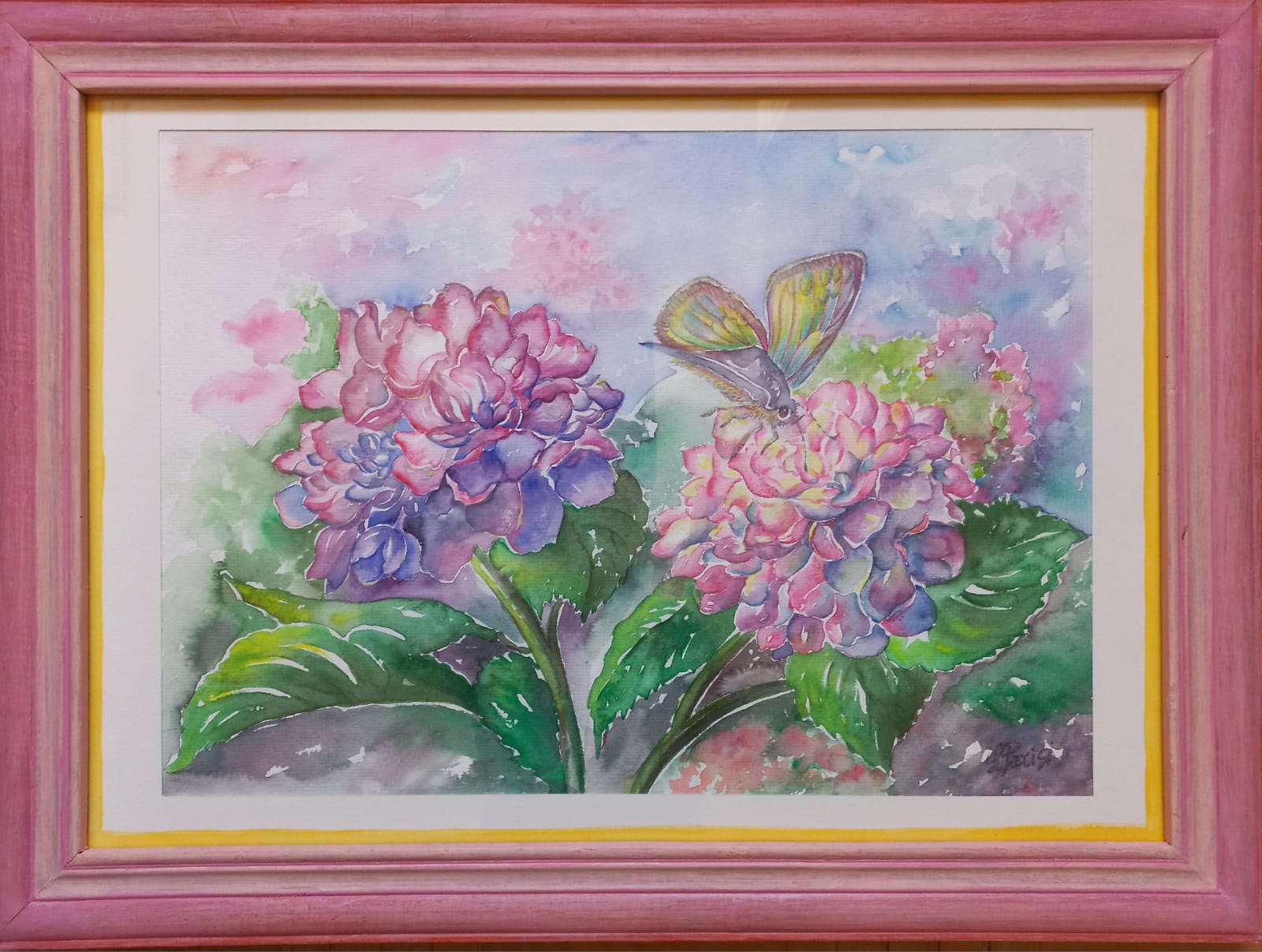 Luisella Parisi - Ortensie rosa nel giardino