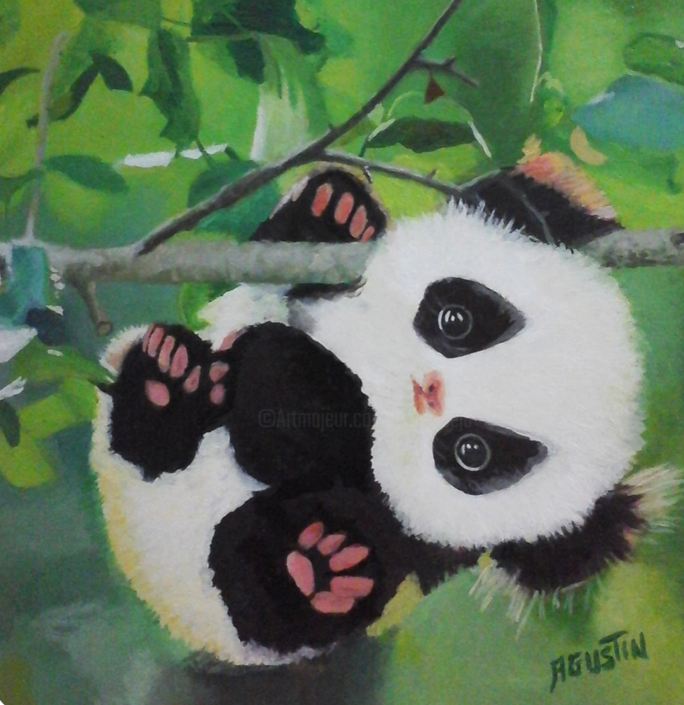 Agustin Bejarano Rodriguez - Pandita