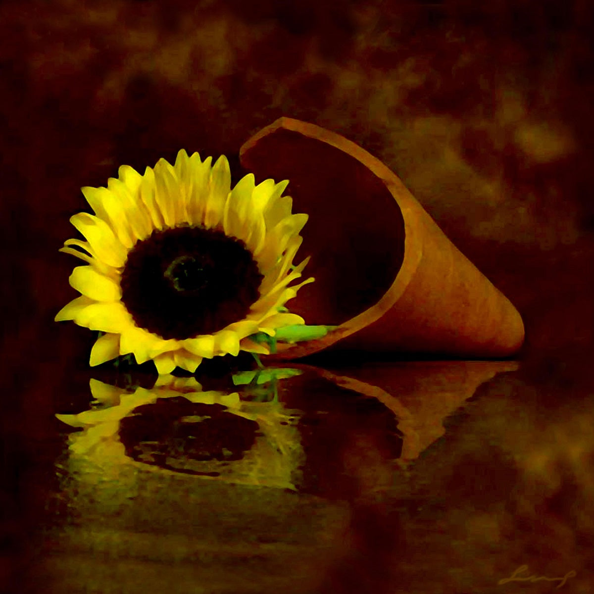 Andrea Shevchuk - For You