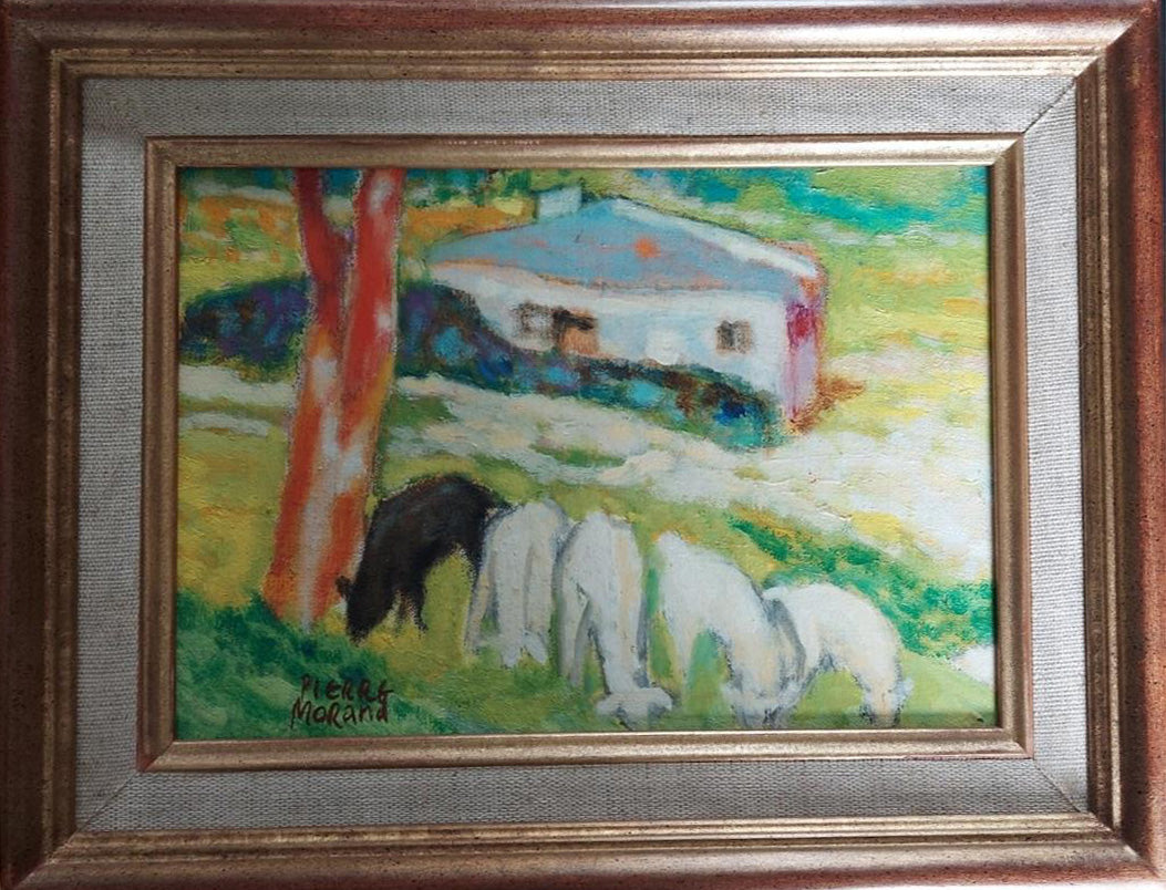 Pierre Morand - Senza titolo