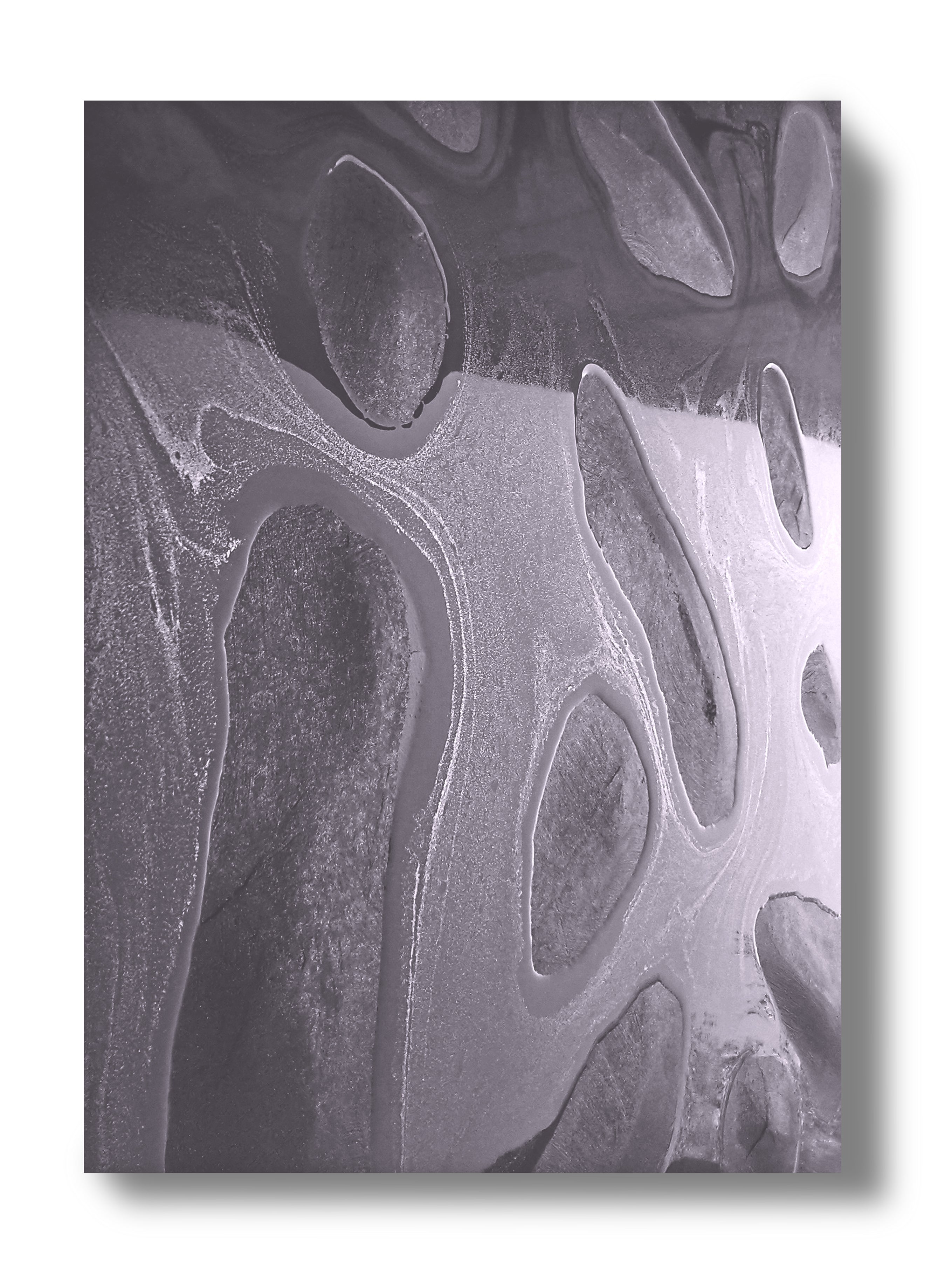 Riccardo Saltini - Polar solitude