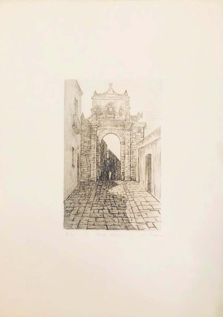 Nico D'amico - Porta nuova