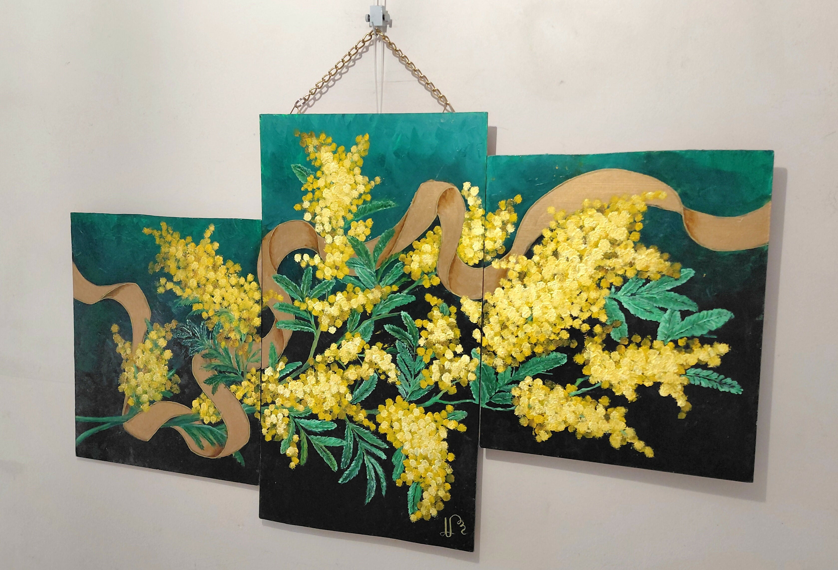 Mimosa