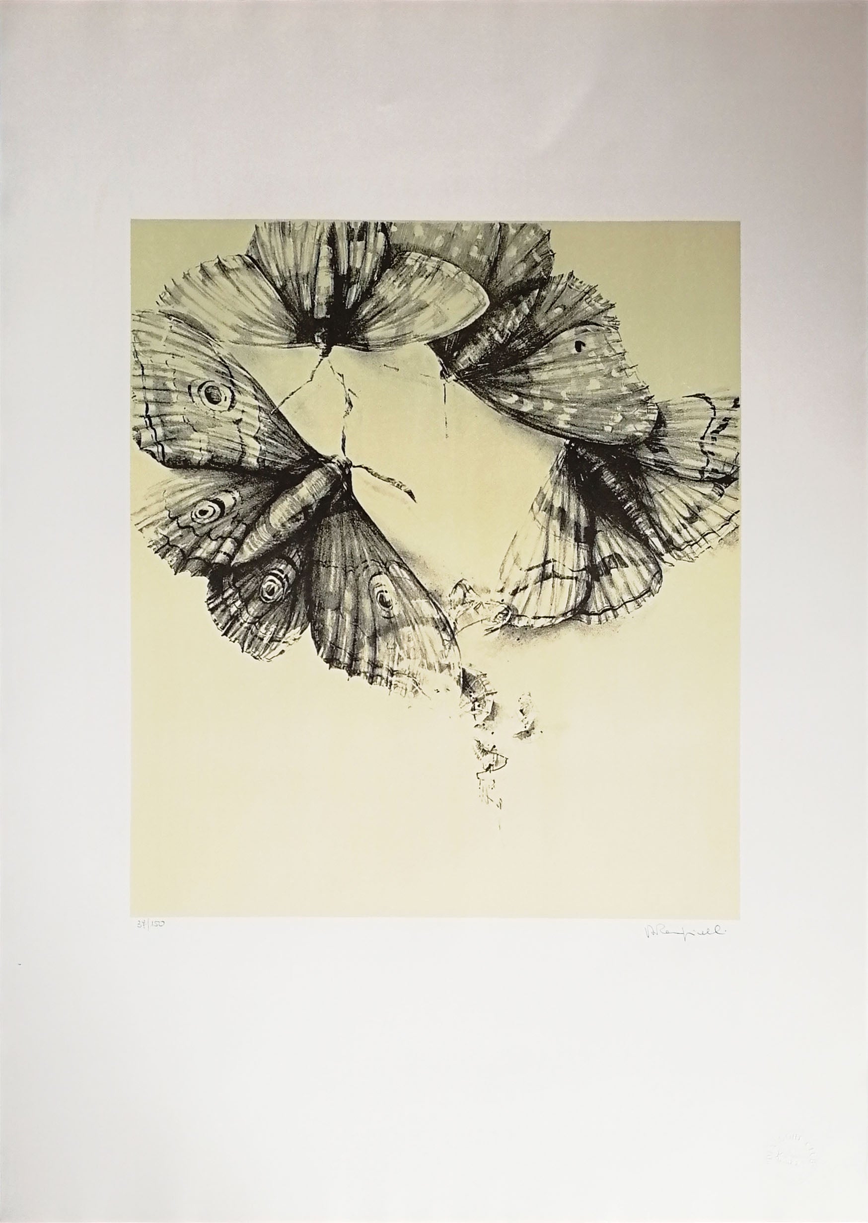 Roberto Rampinelli - Non sono favole