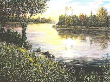 Franco Rinaldi - Reflejos al atardecer