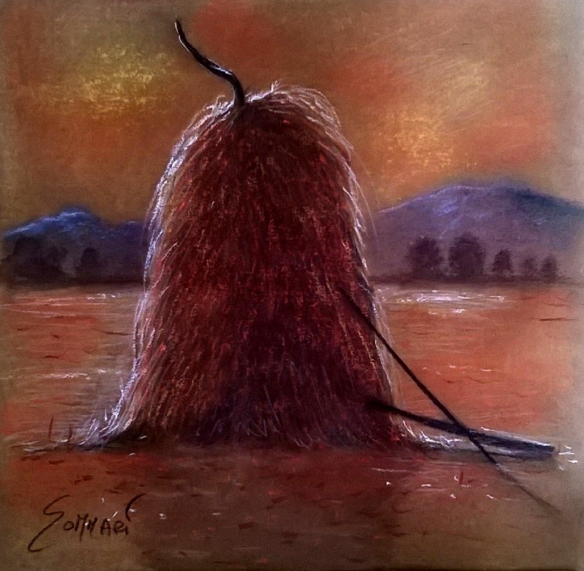 Riflessi sul pagliaio