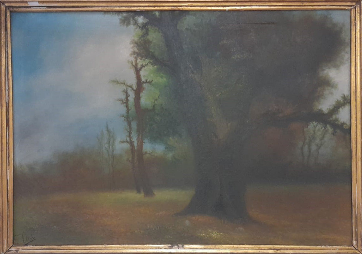Autore Sconosciuto - Senza titolo