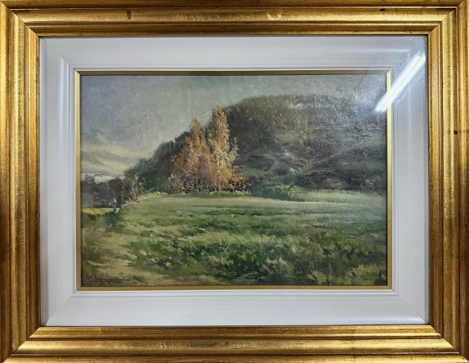 Autore Sconosciuto - Bosco