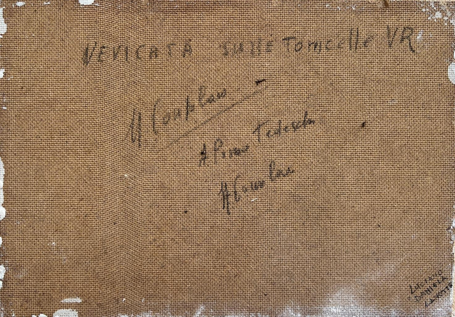 Nino Consolaro - Nevicata sulle Torricelle