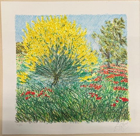 Franco Azzinari - Primavera