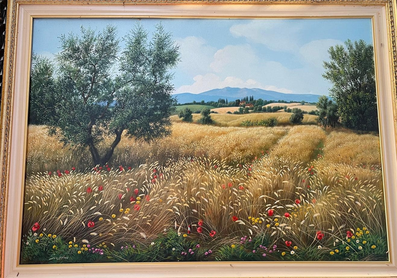 Campo di grano