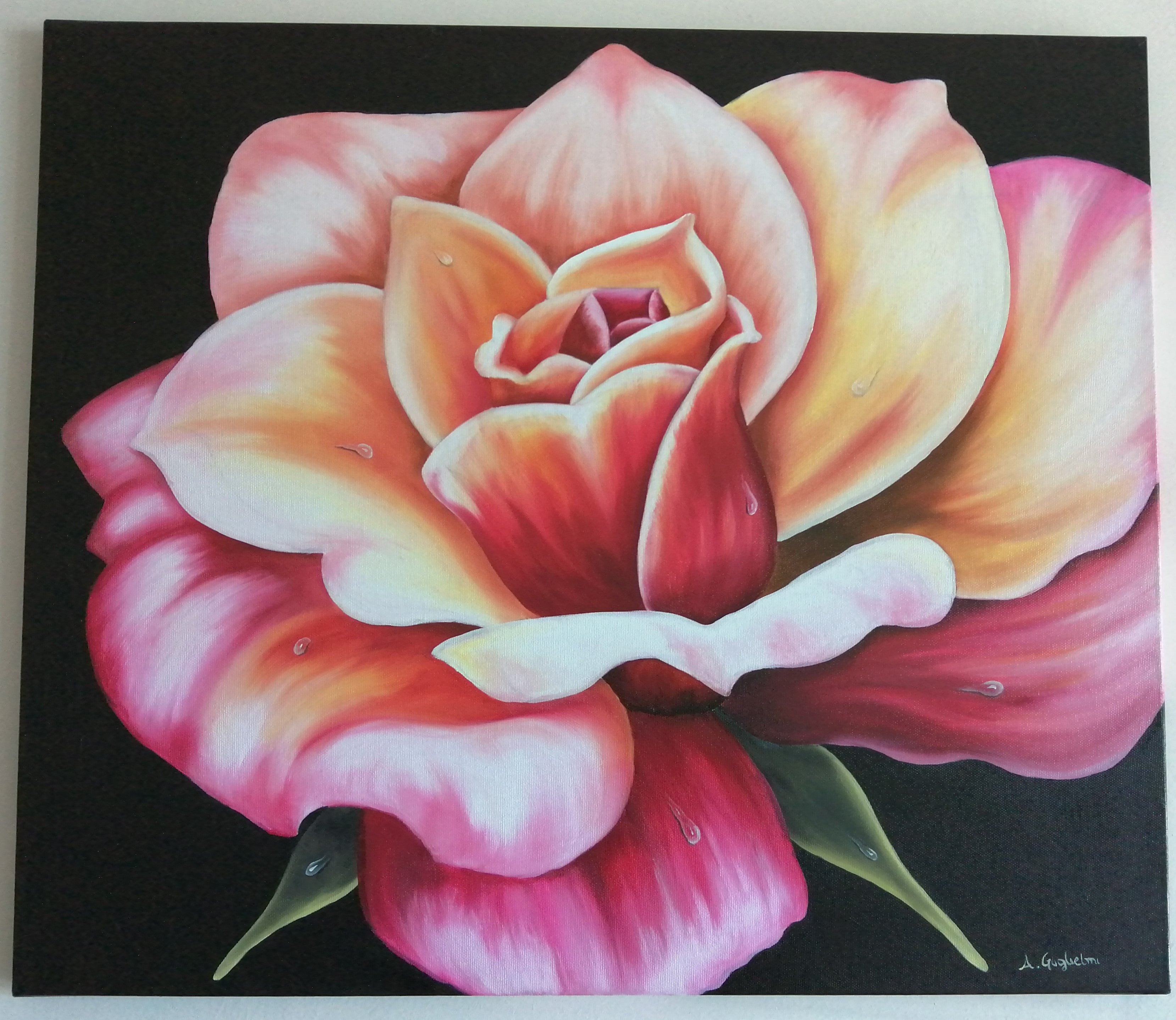 ROSA ROSA