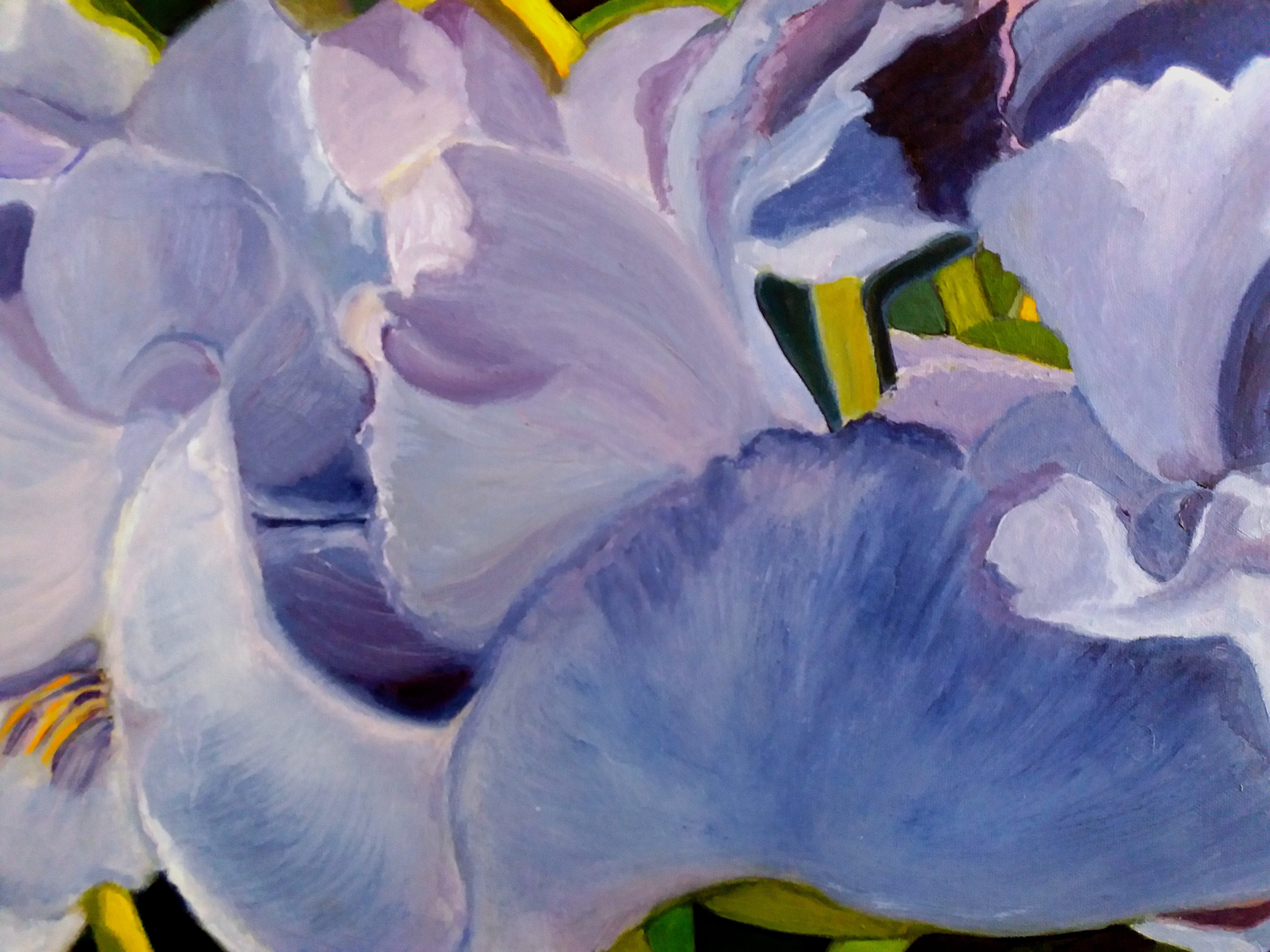 aroma de iris