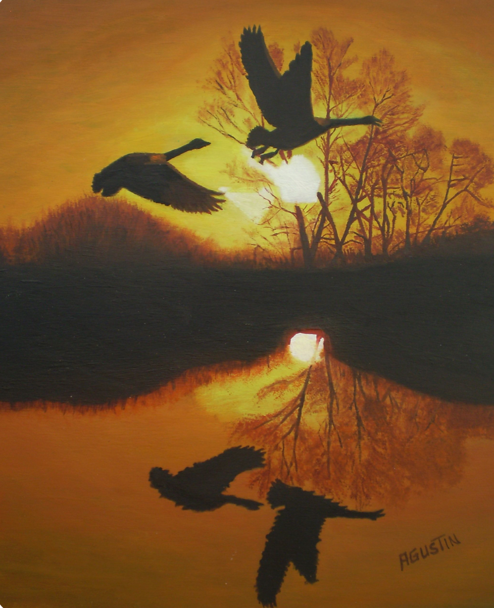 Agustin Bejarano Rodriguez - Serie pajaro