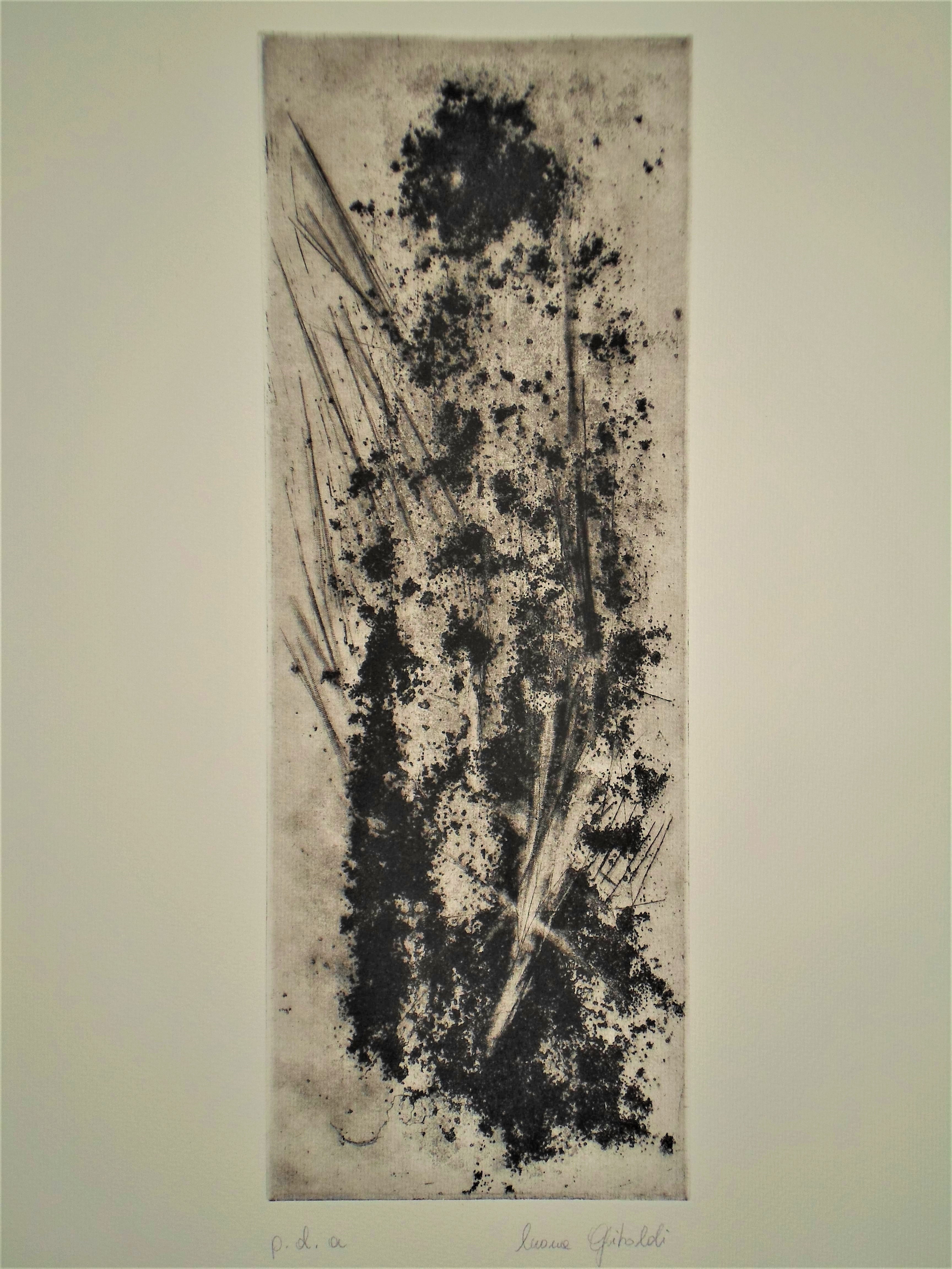 "STUDIO ENIGMATICO"