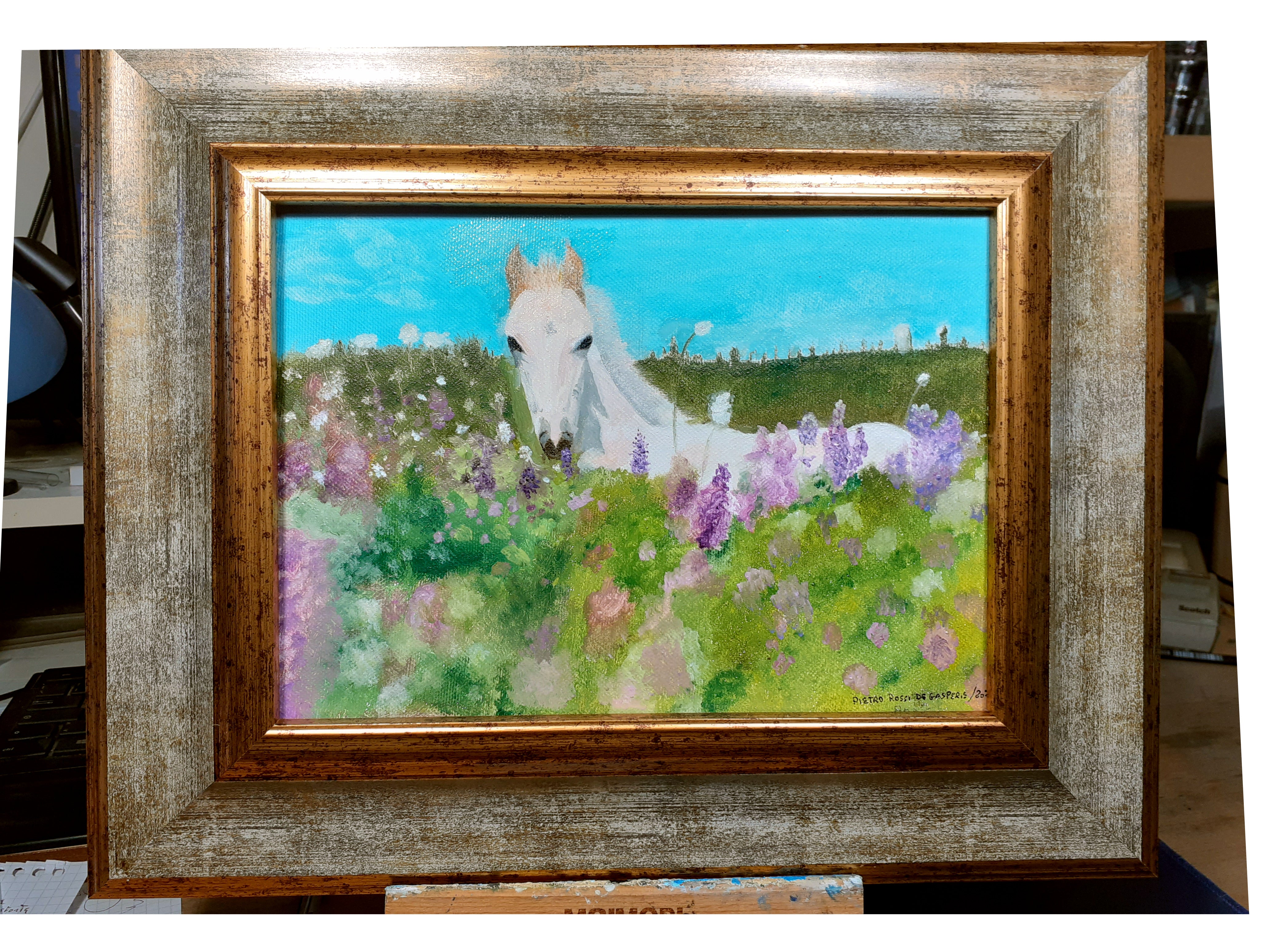 Estudio de una fotografía de Internet, Óleo sobre lienzo 24x19