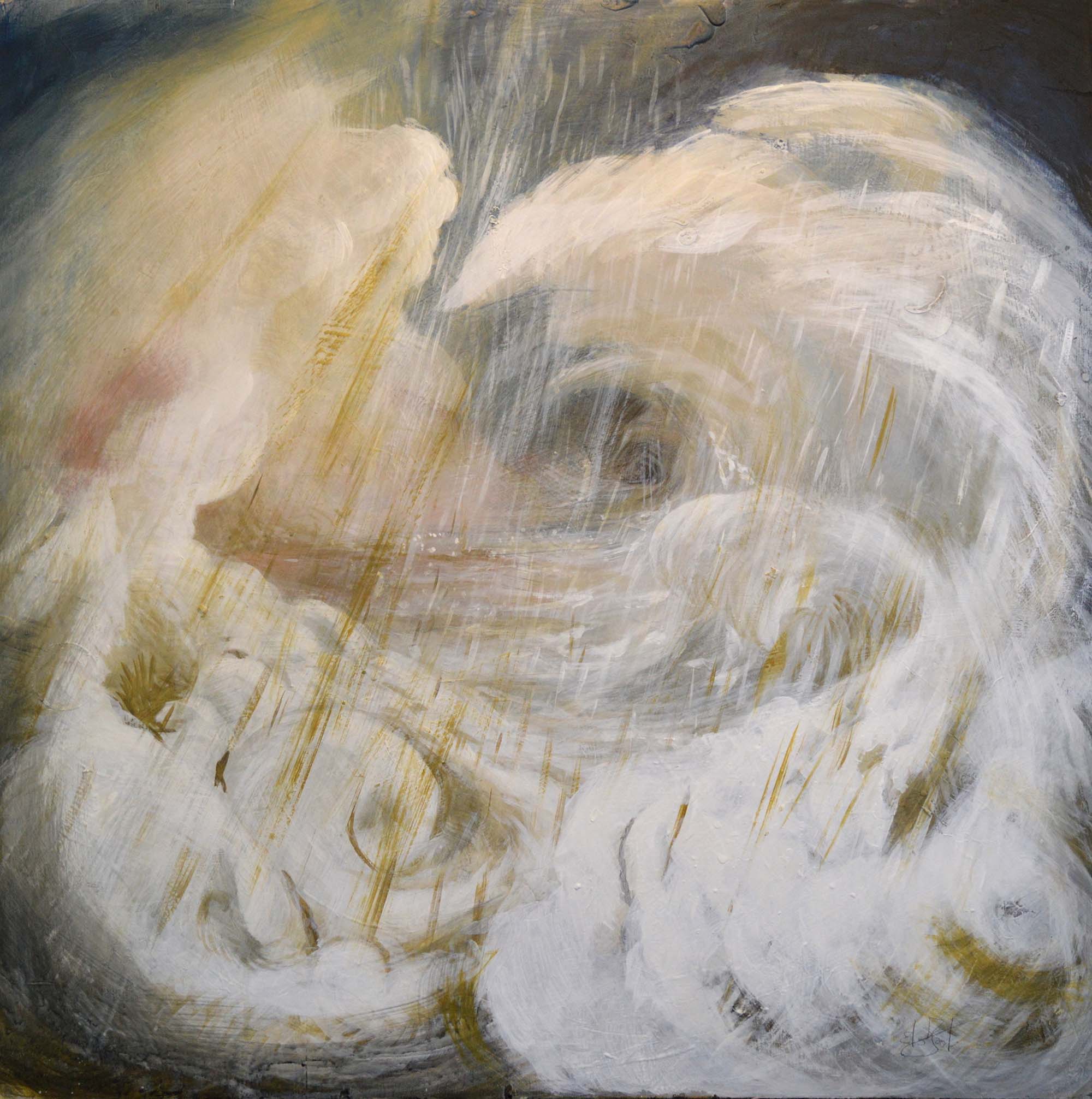 Emilio Facchini - Tempesta
